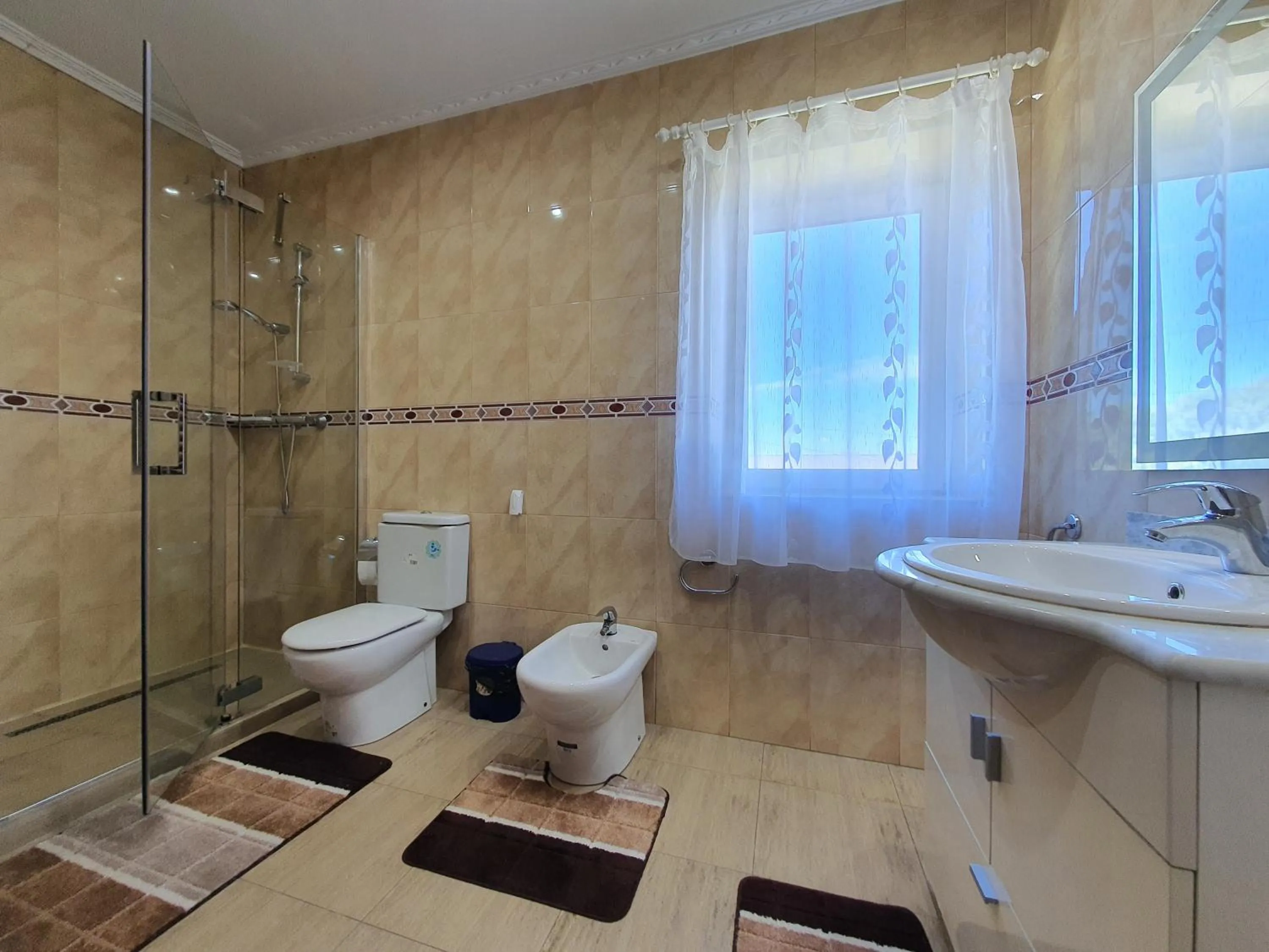 Shower in Pensiunea Stan