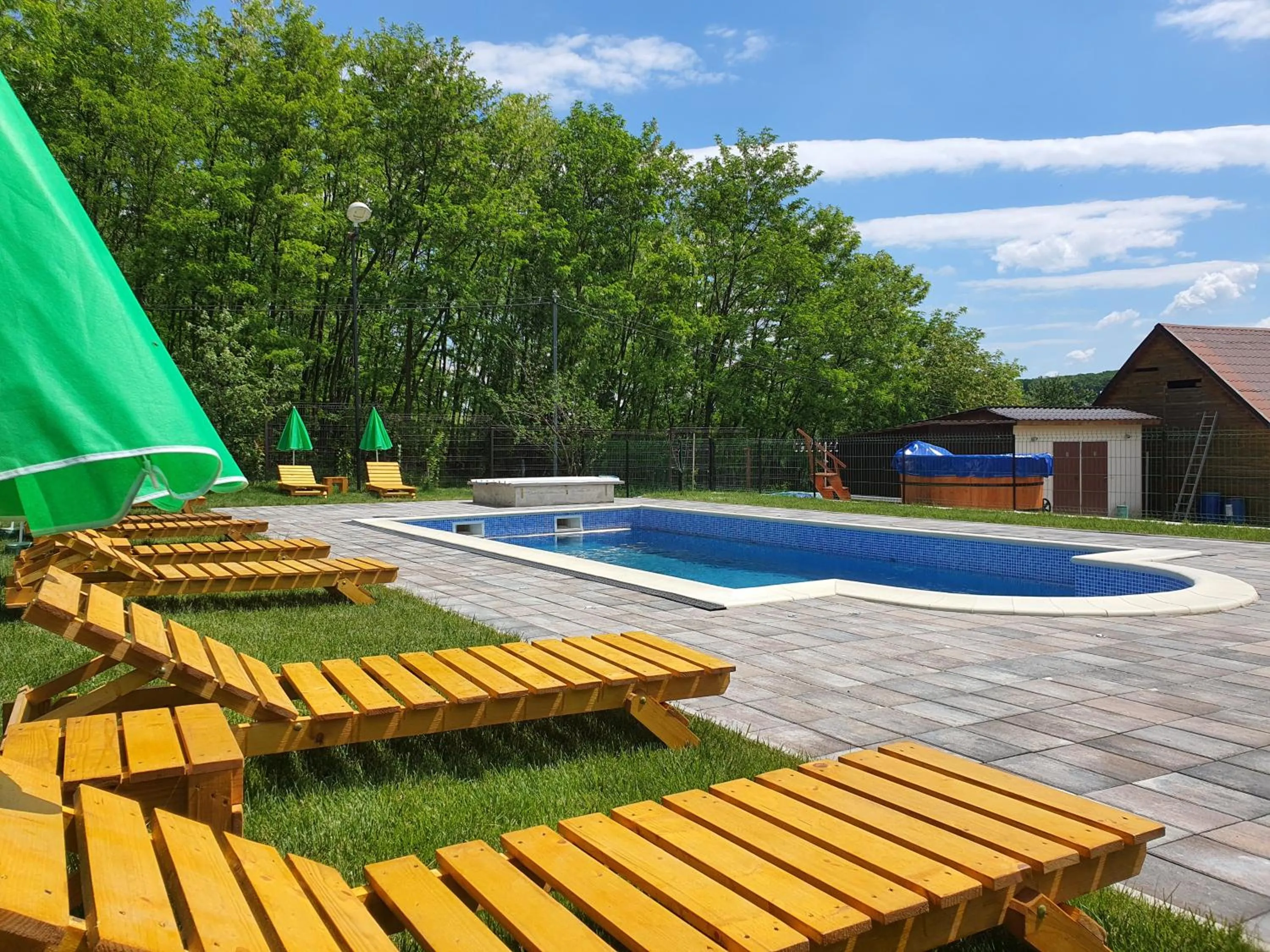 Swimming pool in Pensiunea Stan