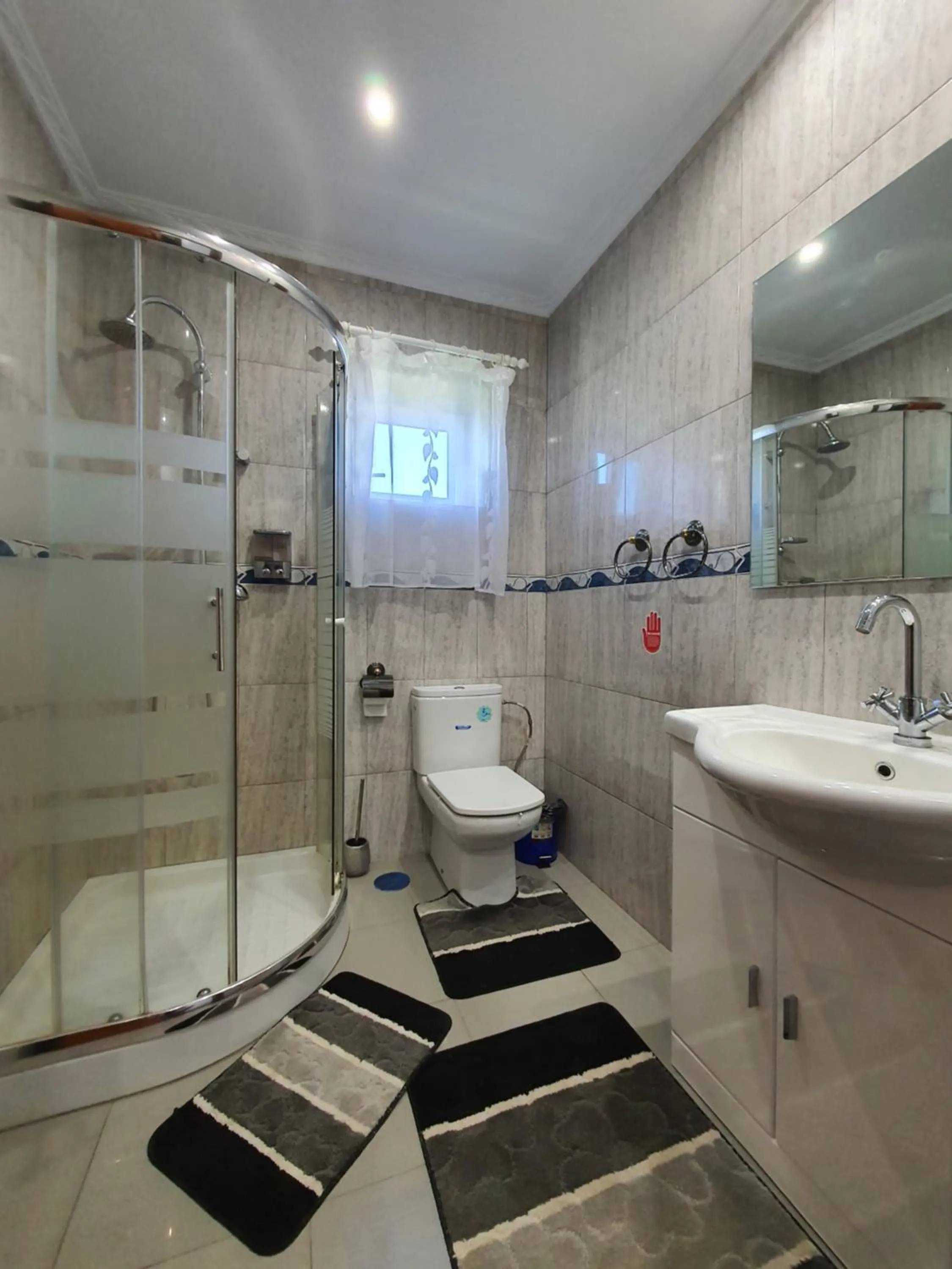 Shower in Pensiunea Stan