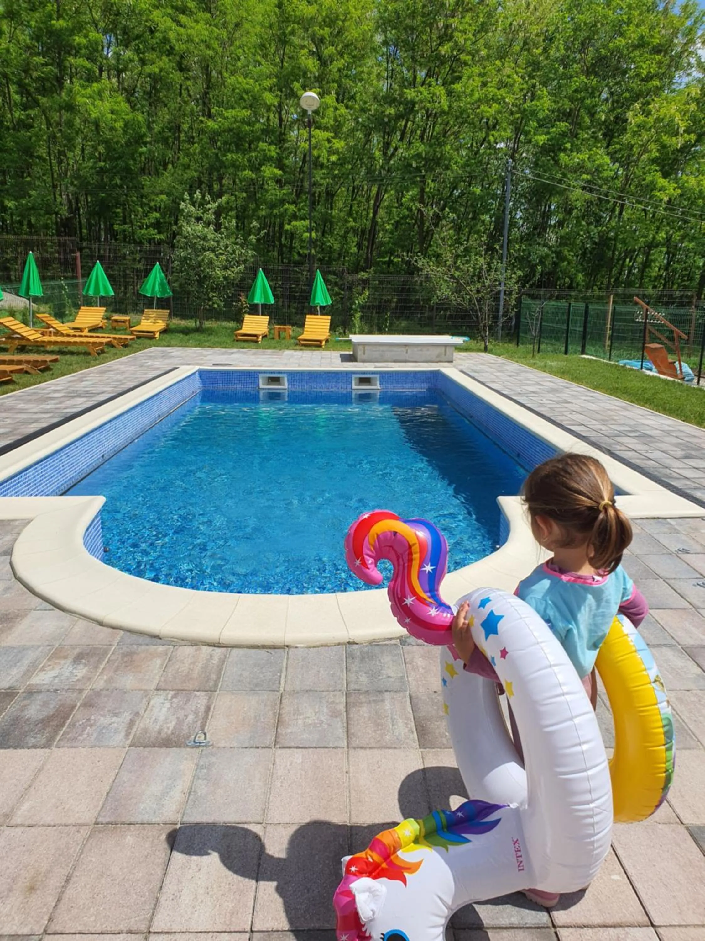 Swimming pool in Pensiunea Stan