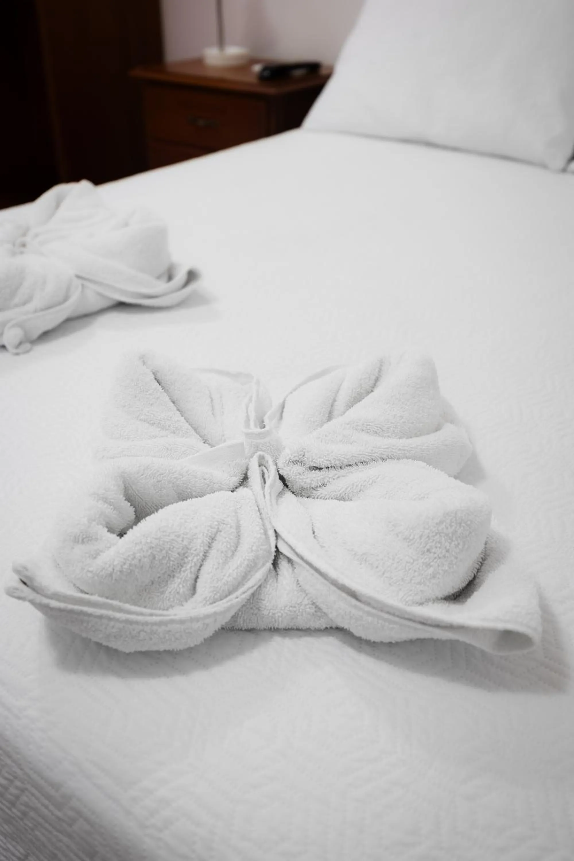 Bed in La Peregrina Galapagos B&B