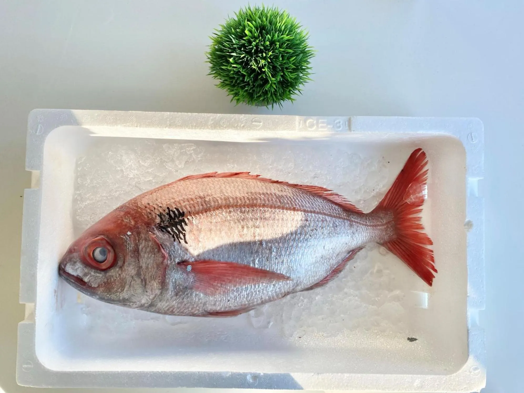 Restaurant/places to eat in Hotel La Torre