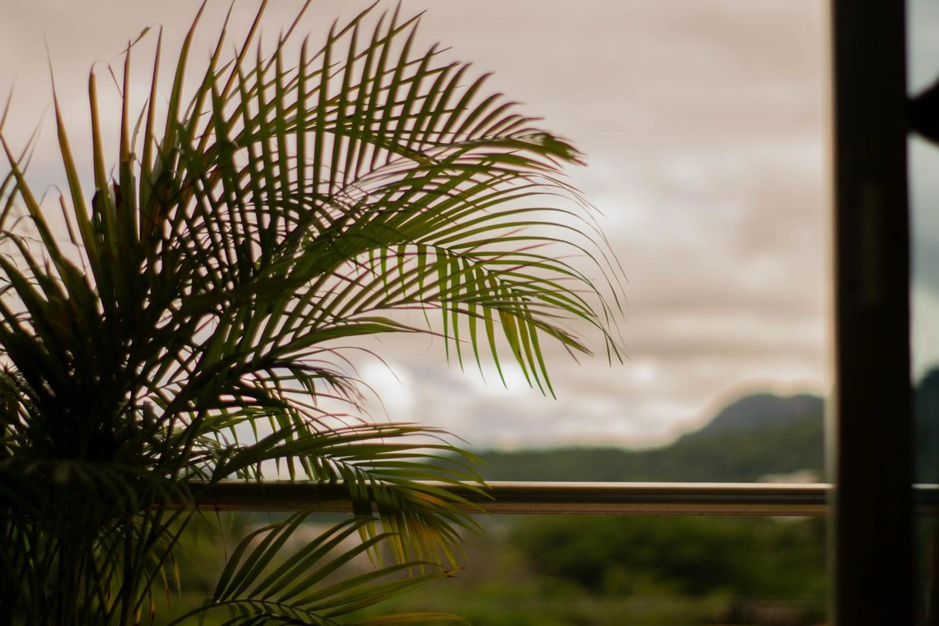 Hotel Orinoquia Real