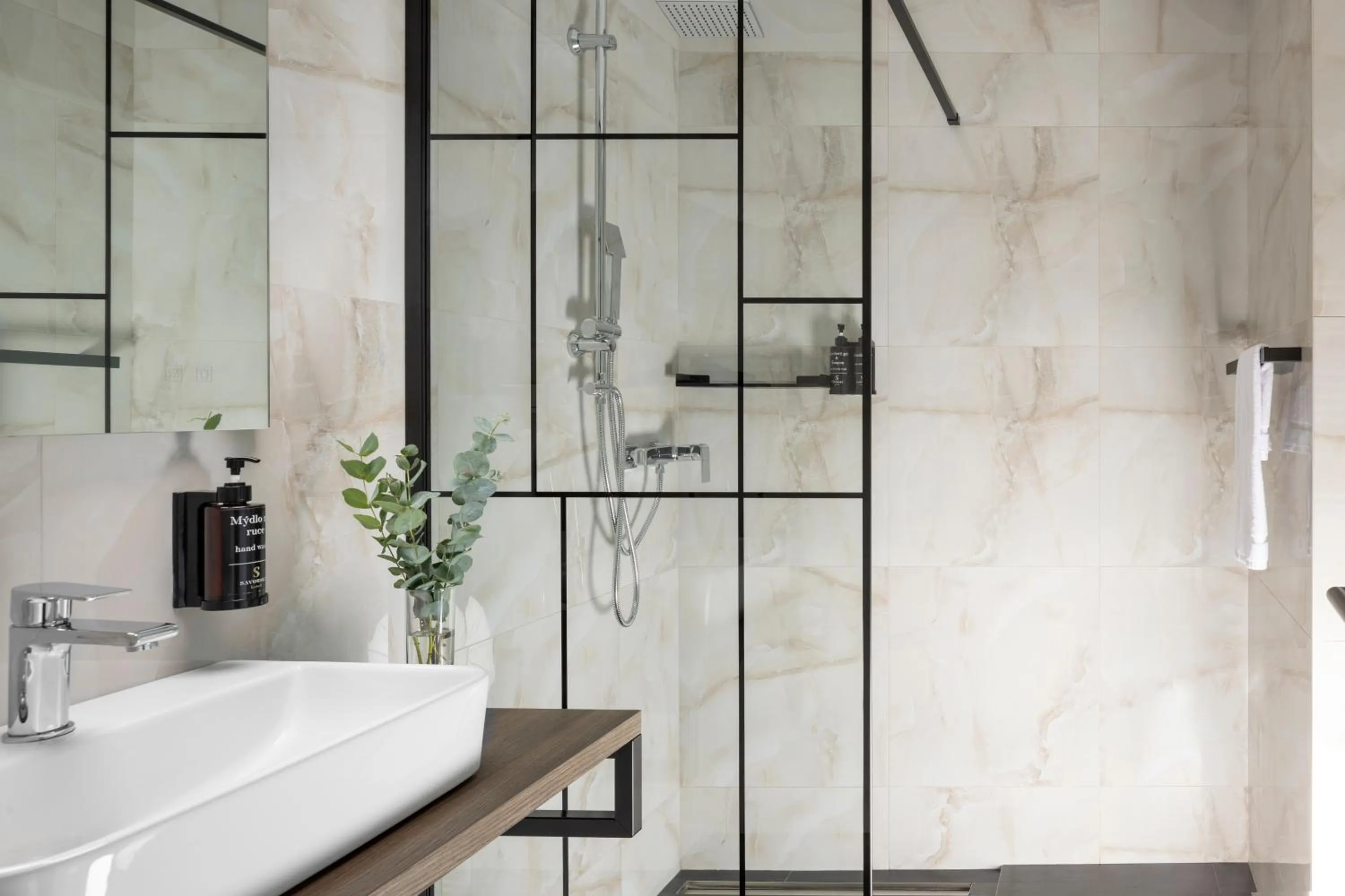 Shower in Hotel Savorsky