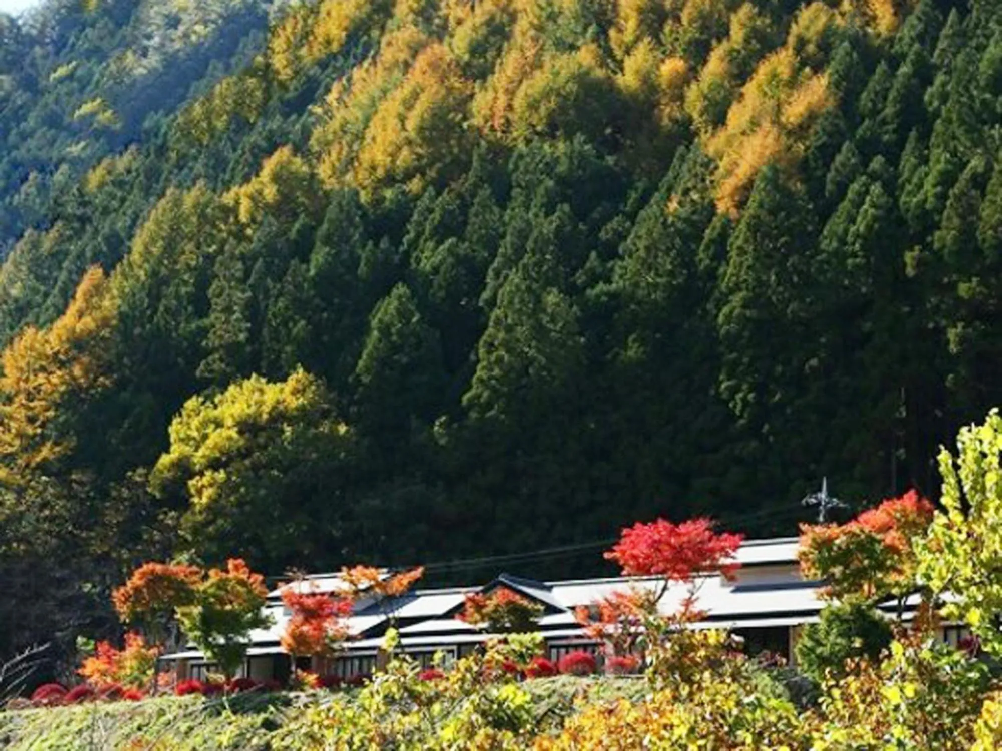 Property building in Kinshuusanso