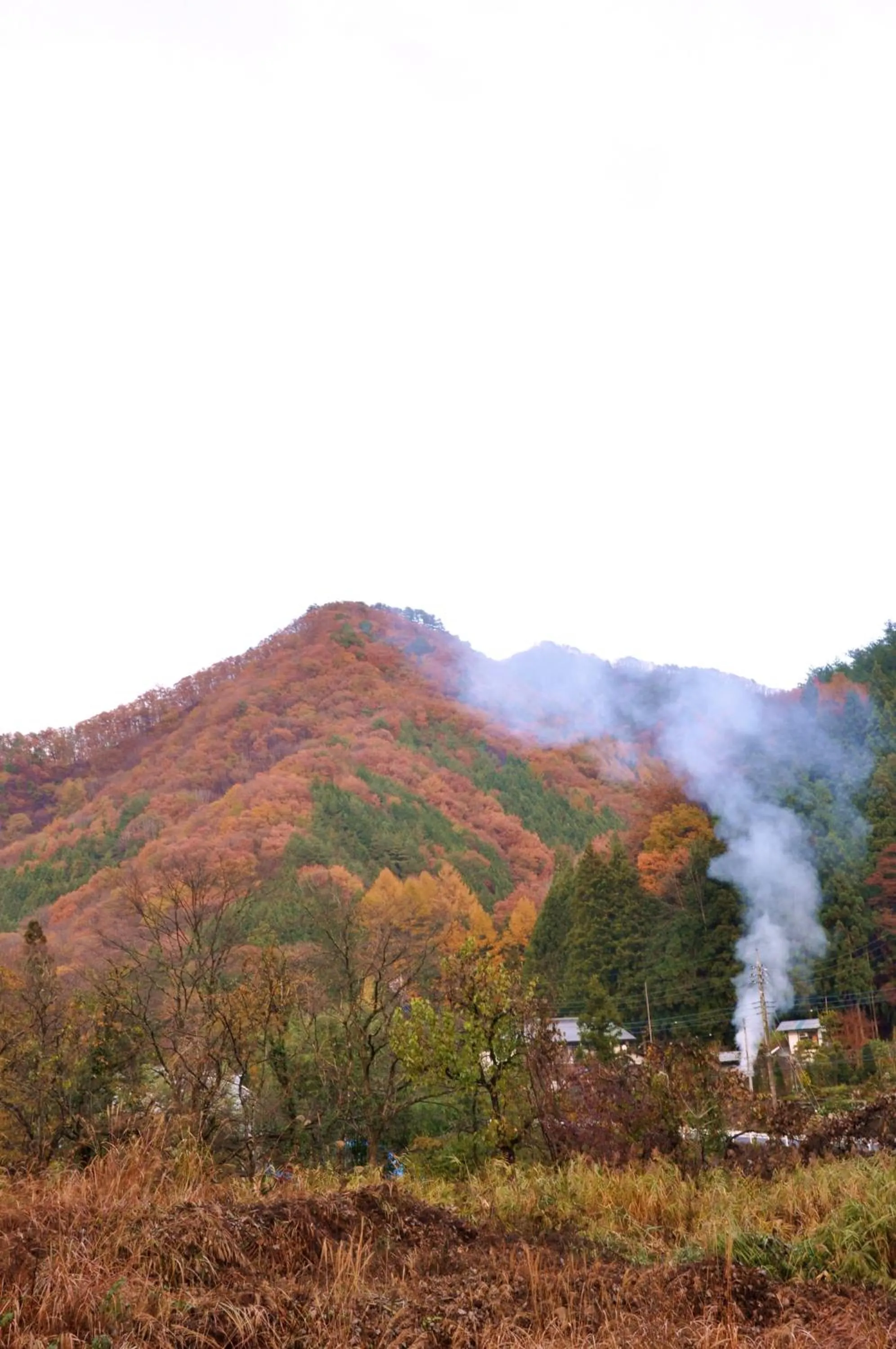 Area and facilities in Kinshuusanso