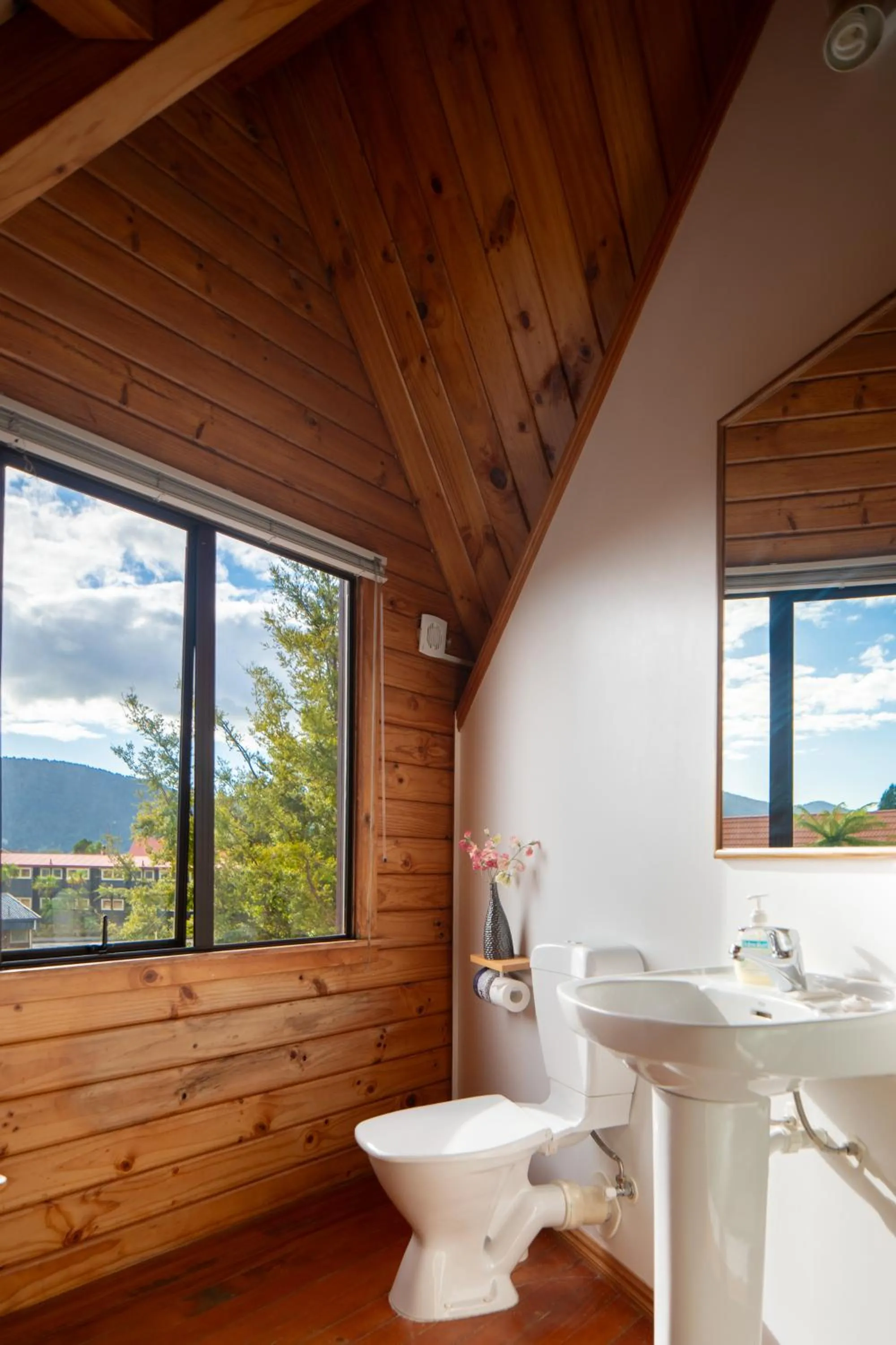 Bathroom in Fox Glacier Lodge