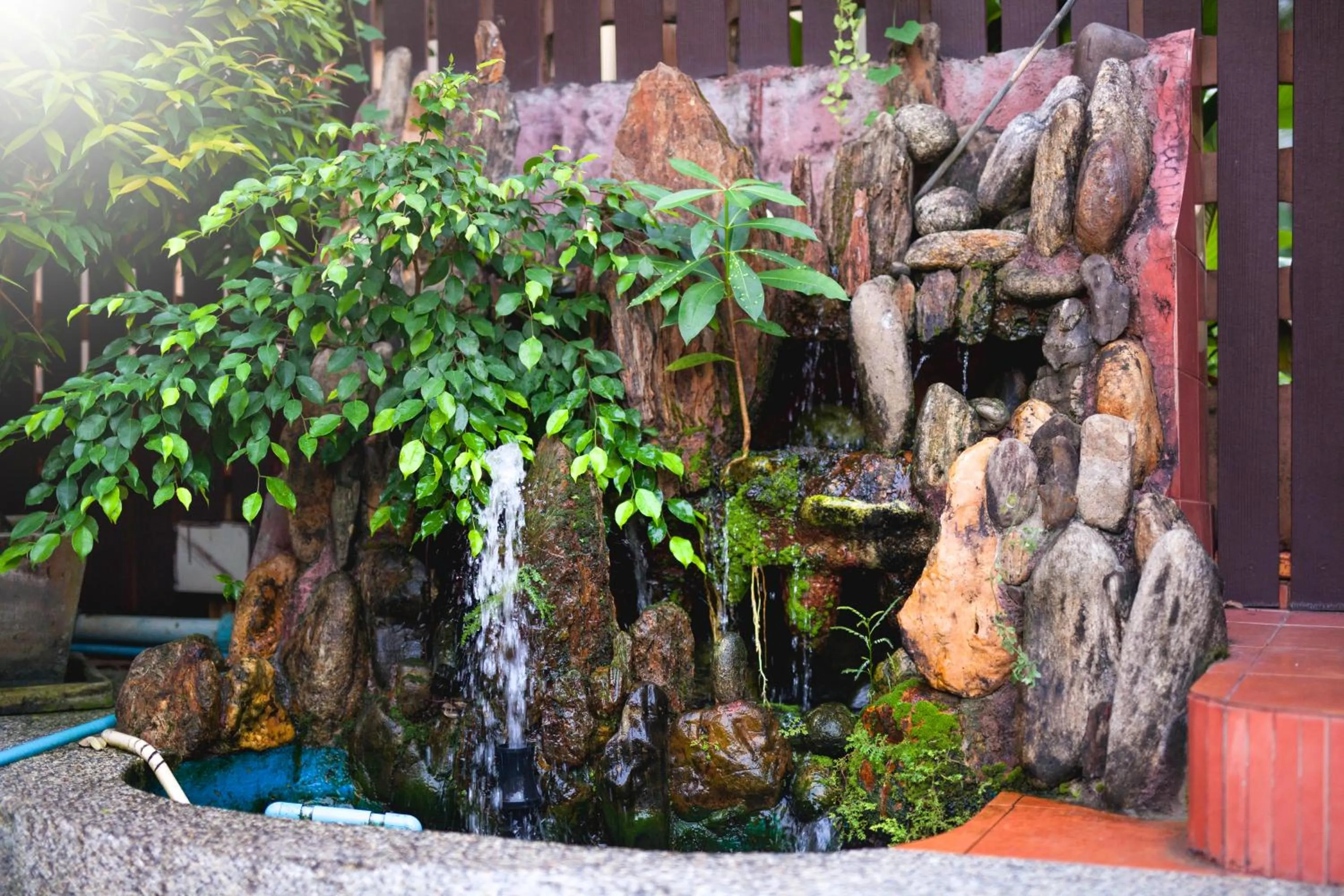 Area and facilities in Paripas Express Patong