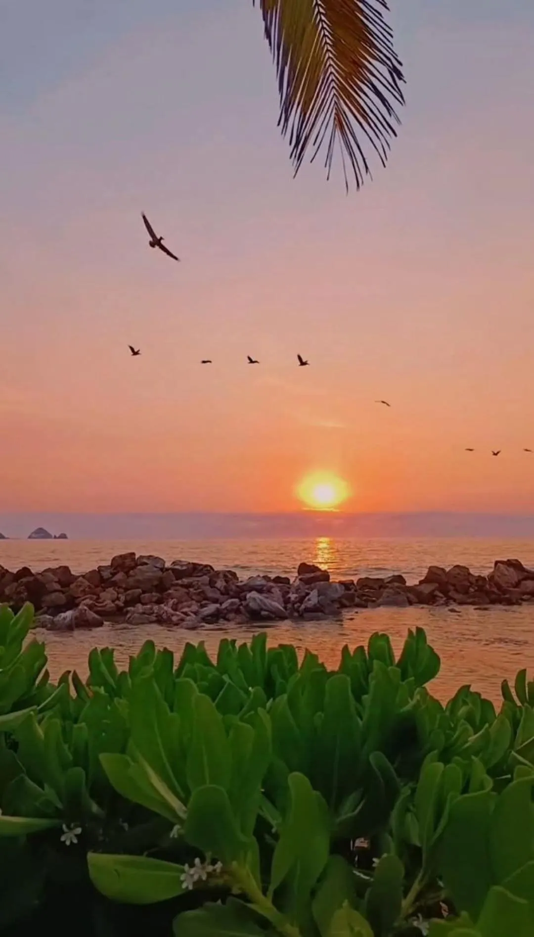 Day in Ensueño de Fuga