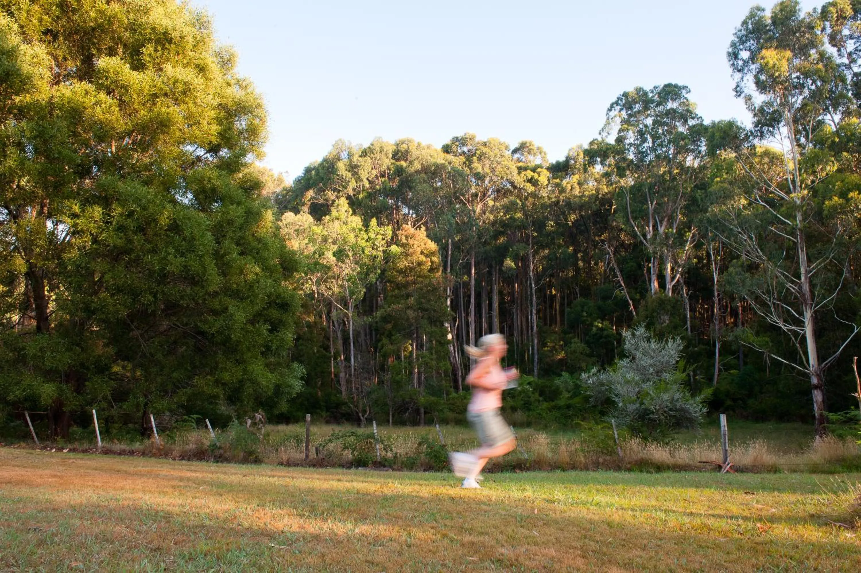 Hiking in BIG4 Yarra Valley Park Lane Holiday Park