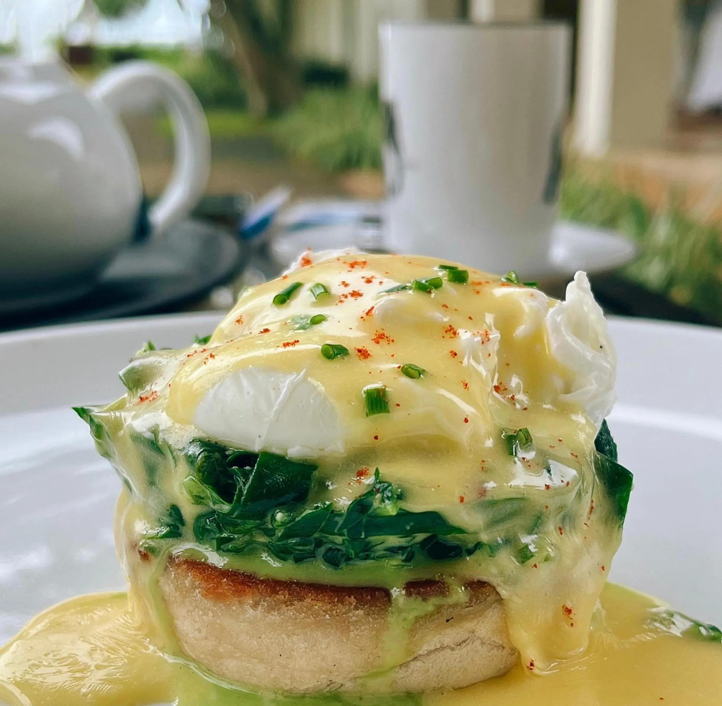 Food and drinks in Elysium