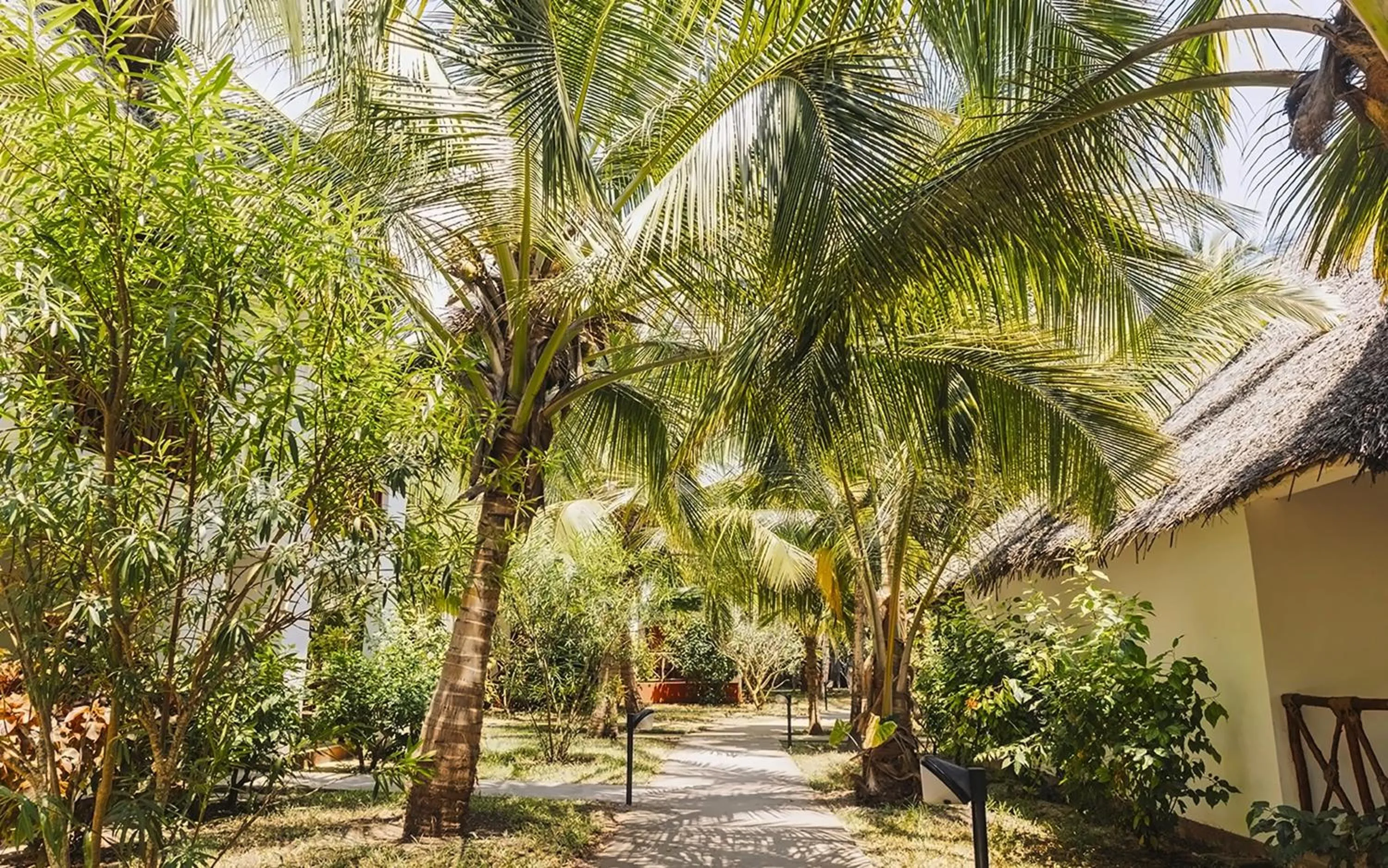 Garden view in JAZ Adonia