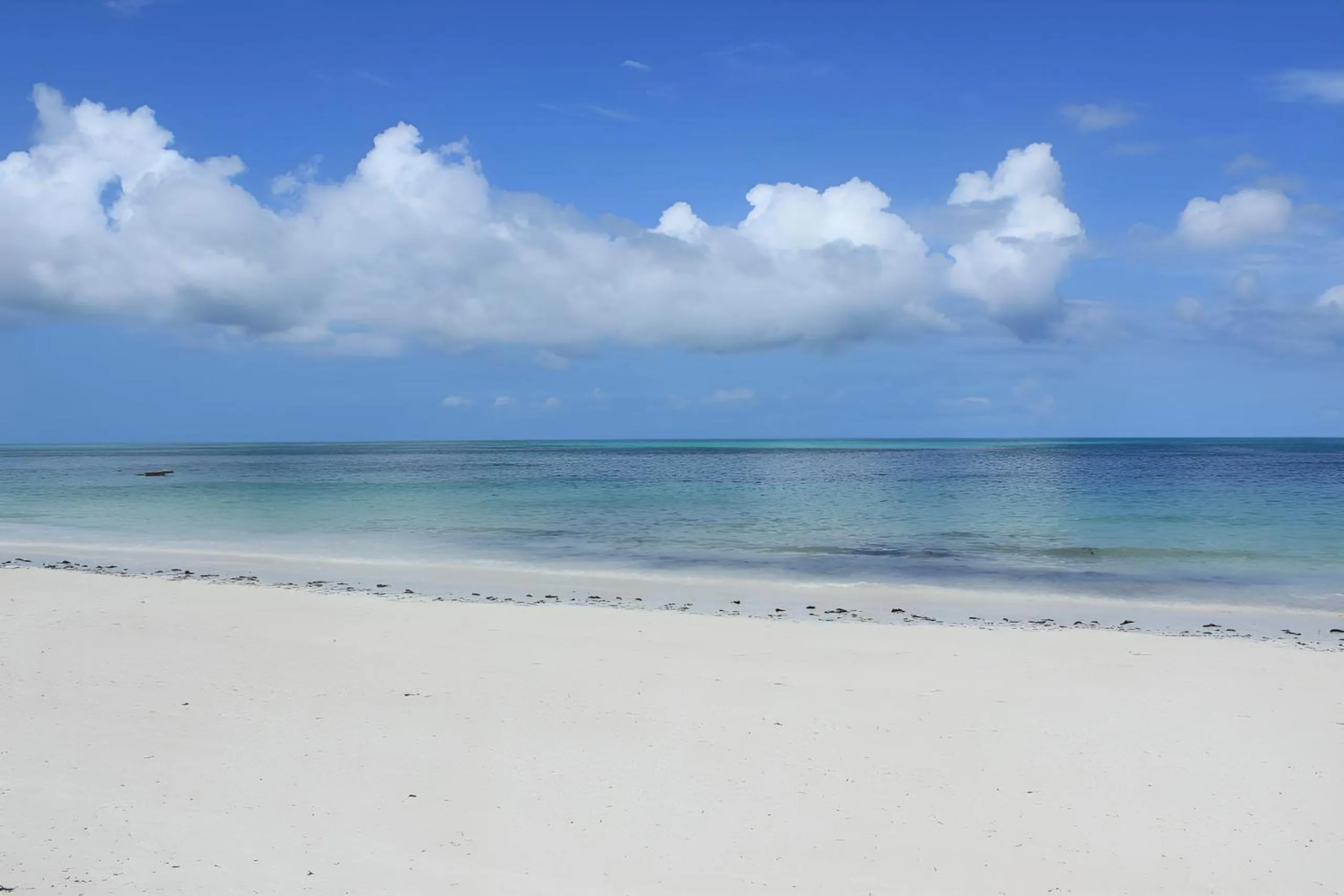 Natural landscape in JAZ Adonia