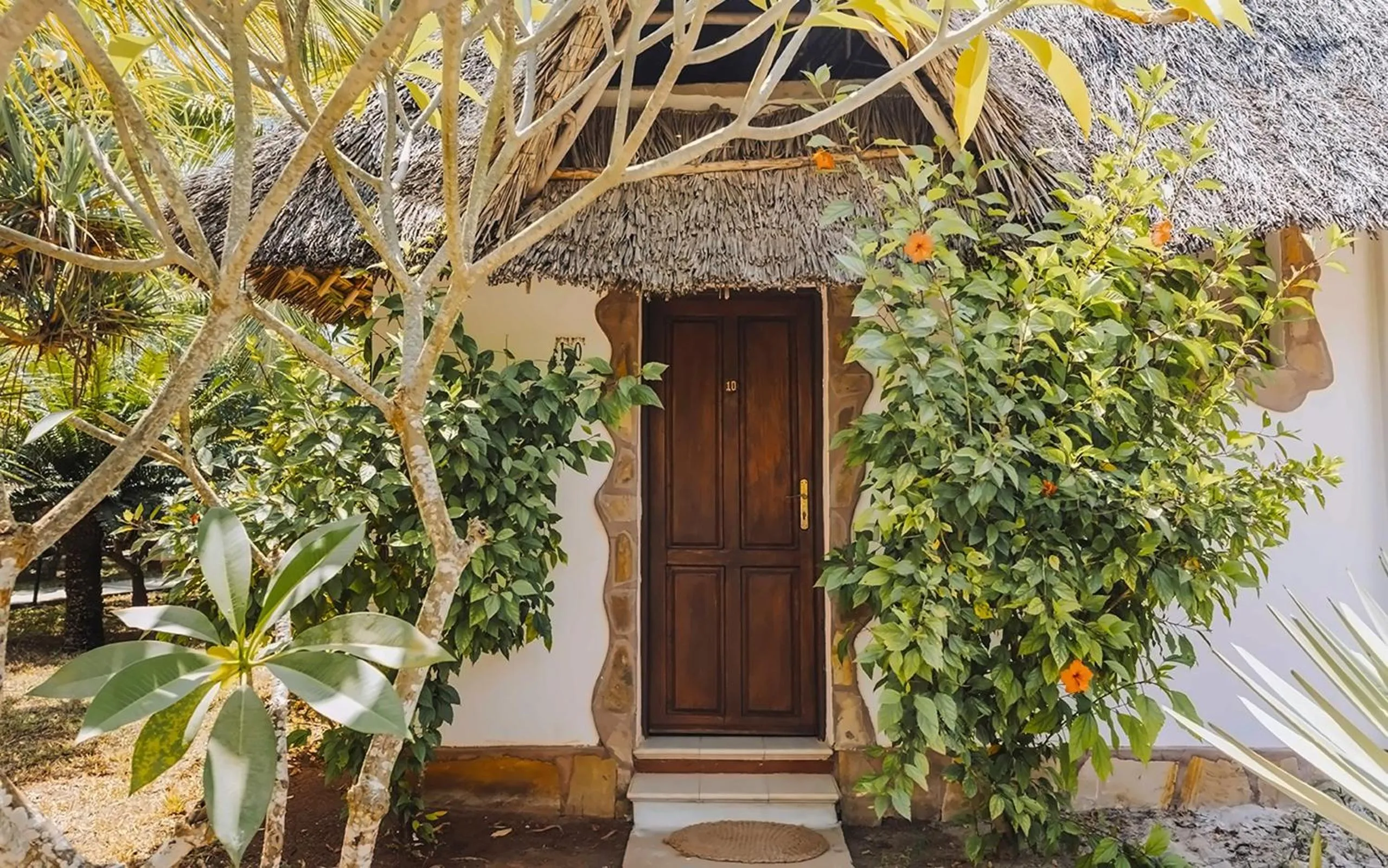 Property building in JAZ Adonia