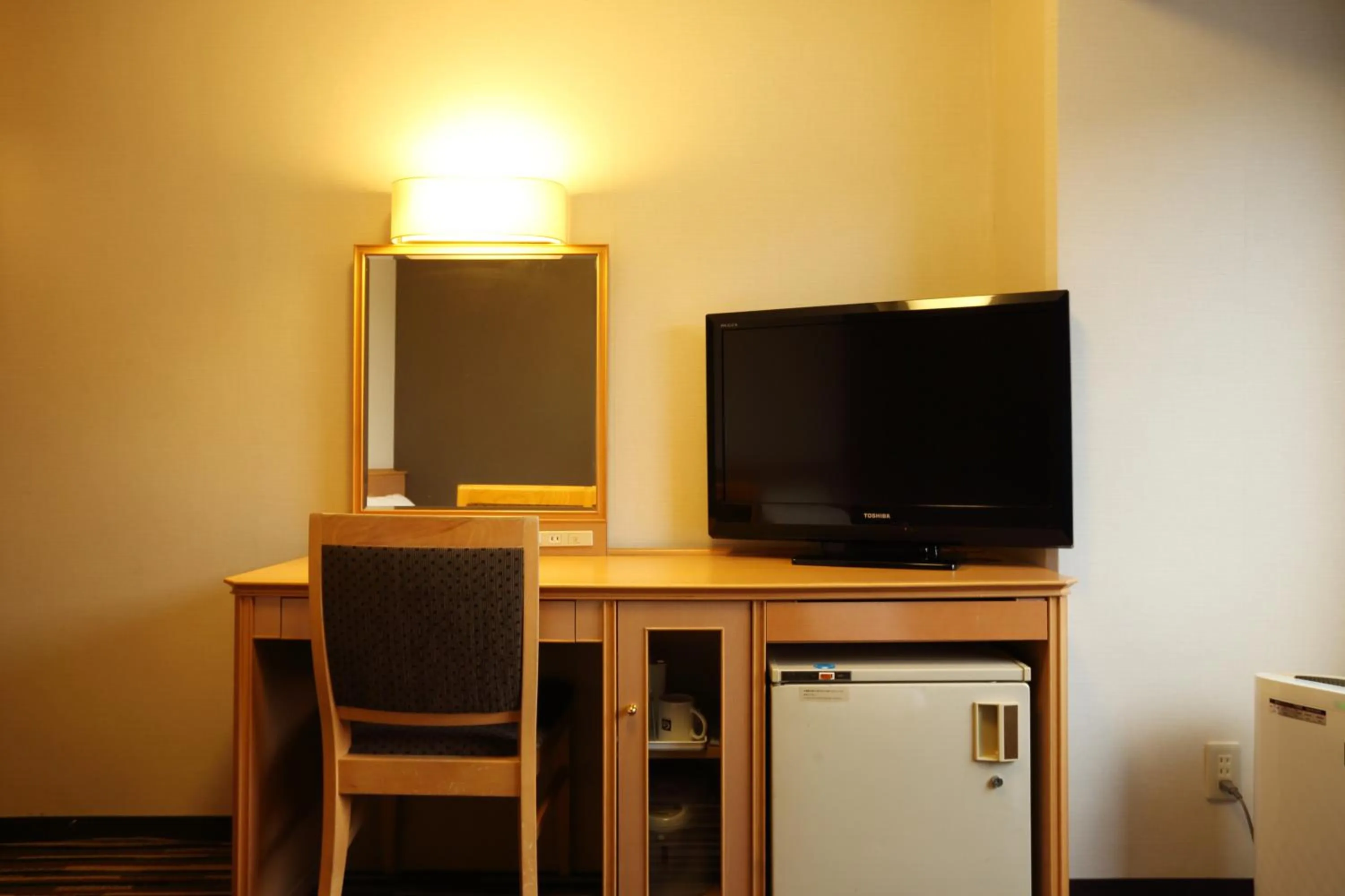 TV and multimedia in Smile Hotel Tokushima