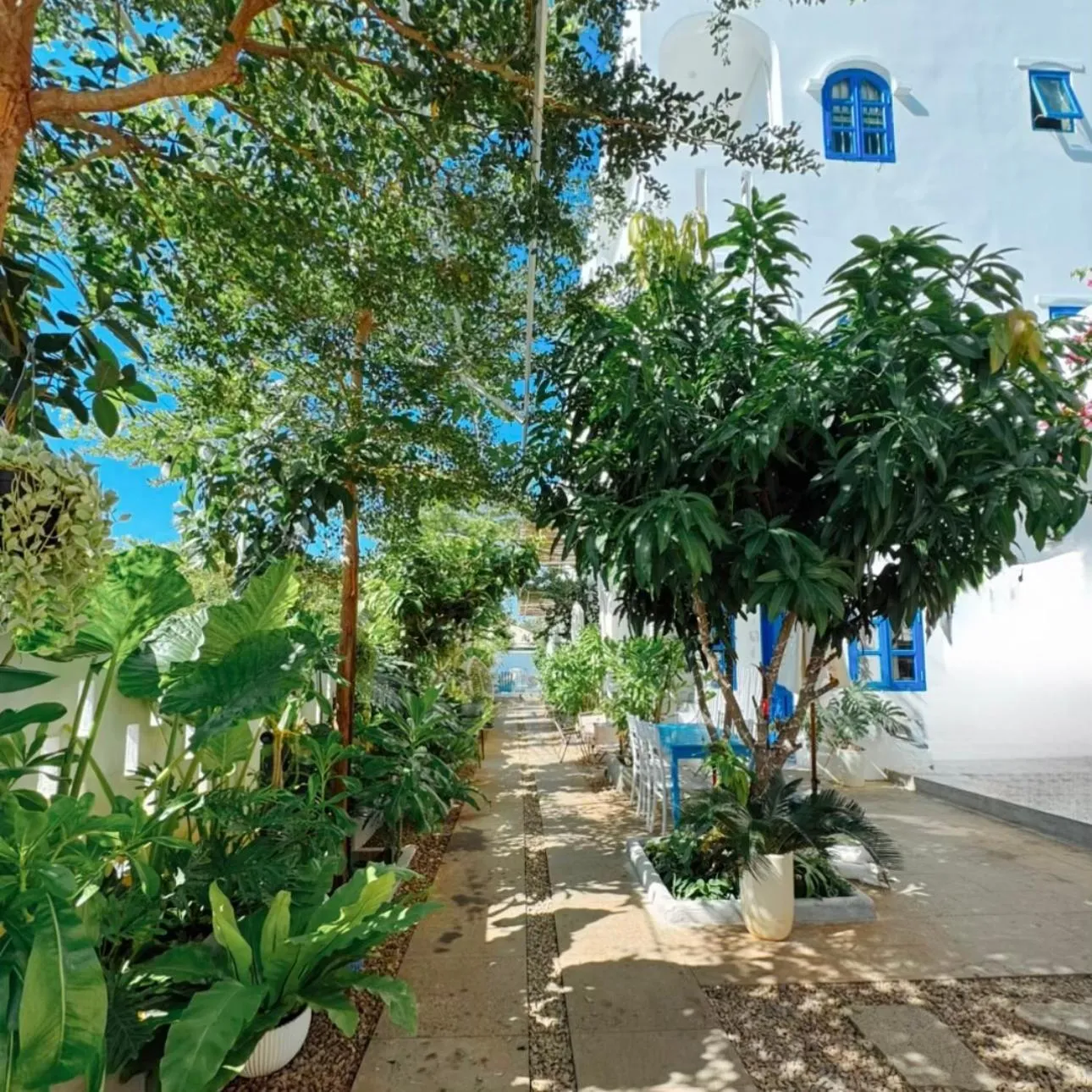 A House - homestay Mui Ne