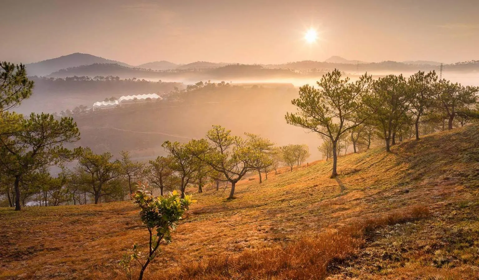 Natural landscape in Hoang Long Hotel Da Lat City