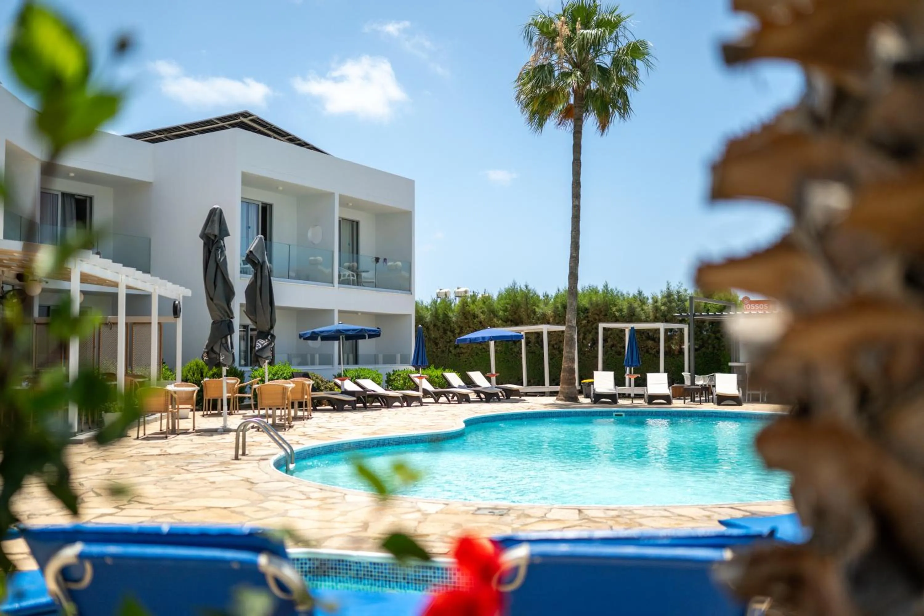Swimming pool in Bellini Hotel