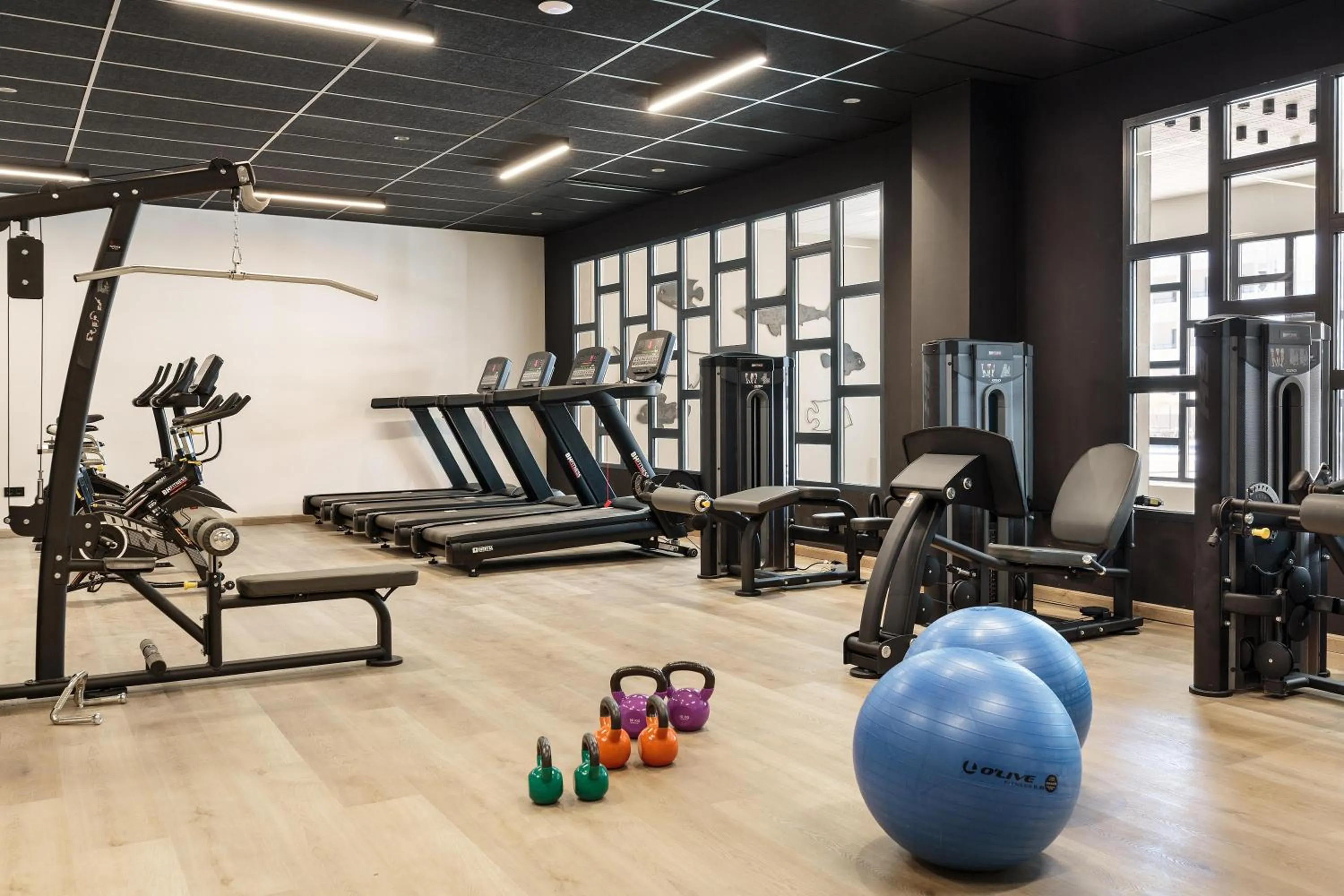 Activities in Hotel Best Oasis Tropical