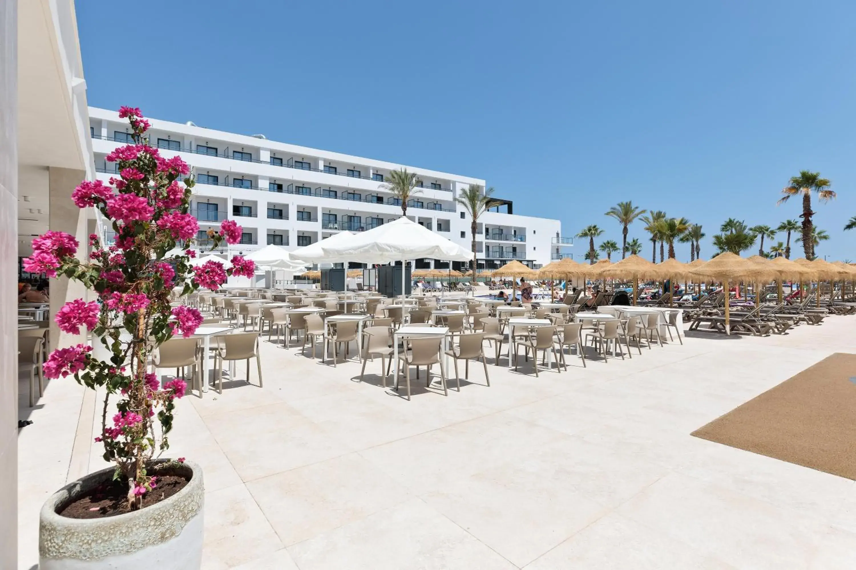 Property building in Hotel Best Oasis Tropical Property building in Hotel Best Oasis Tropical