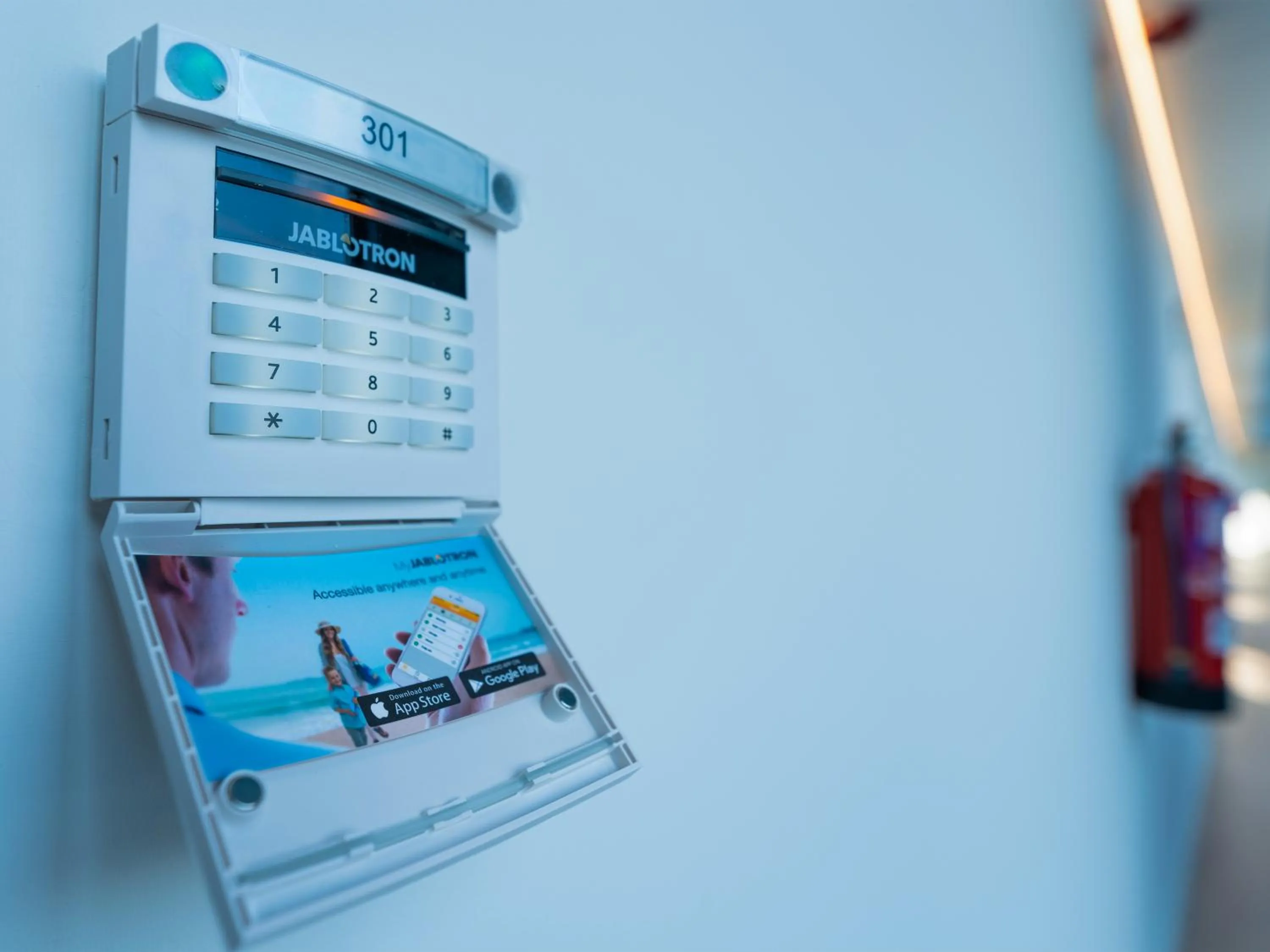 Decorative detail in La marina sunset 3000