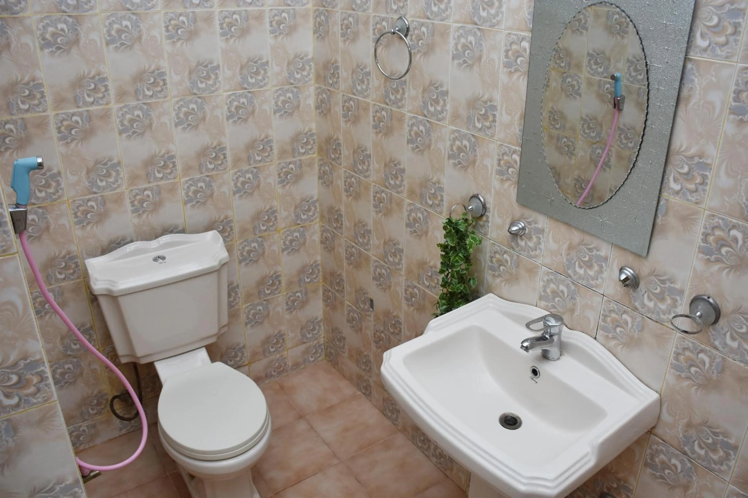 Bathroom in Roshan Guest House