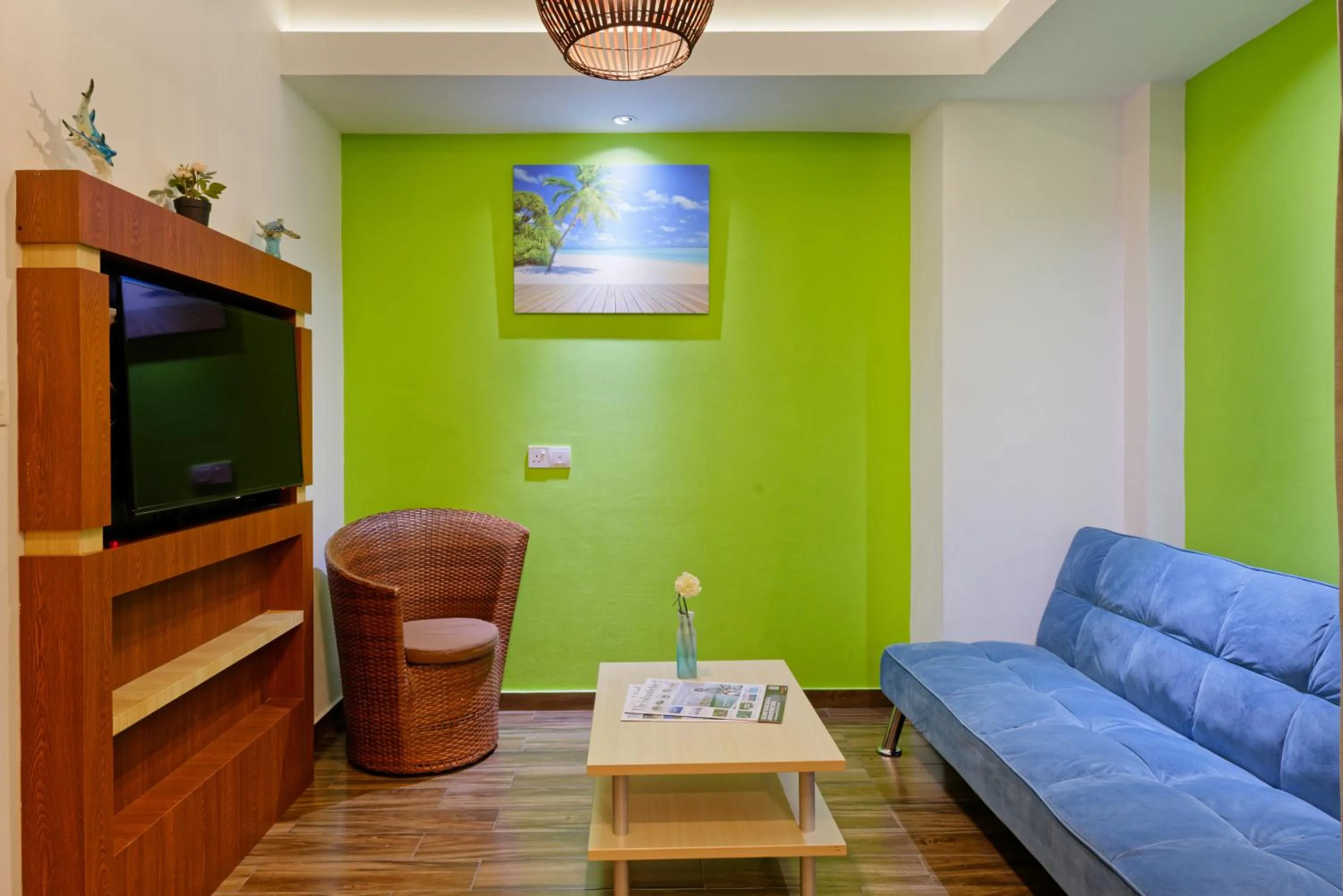 TV and multimedia in h78