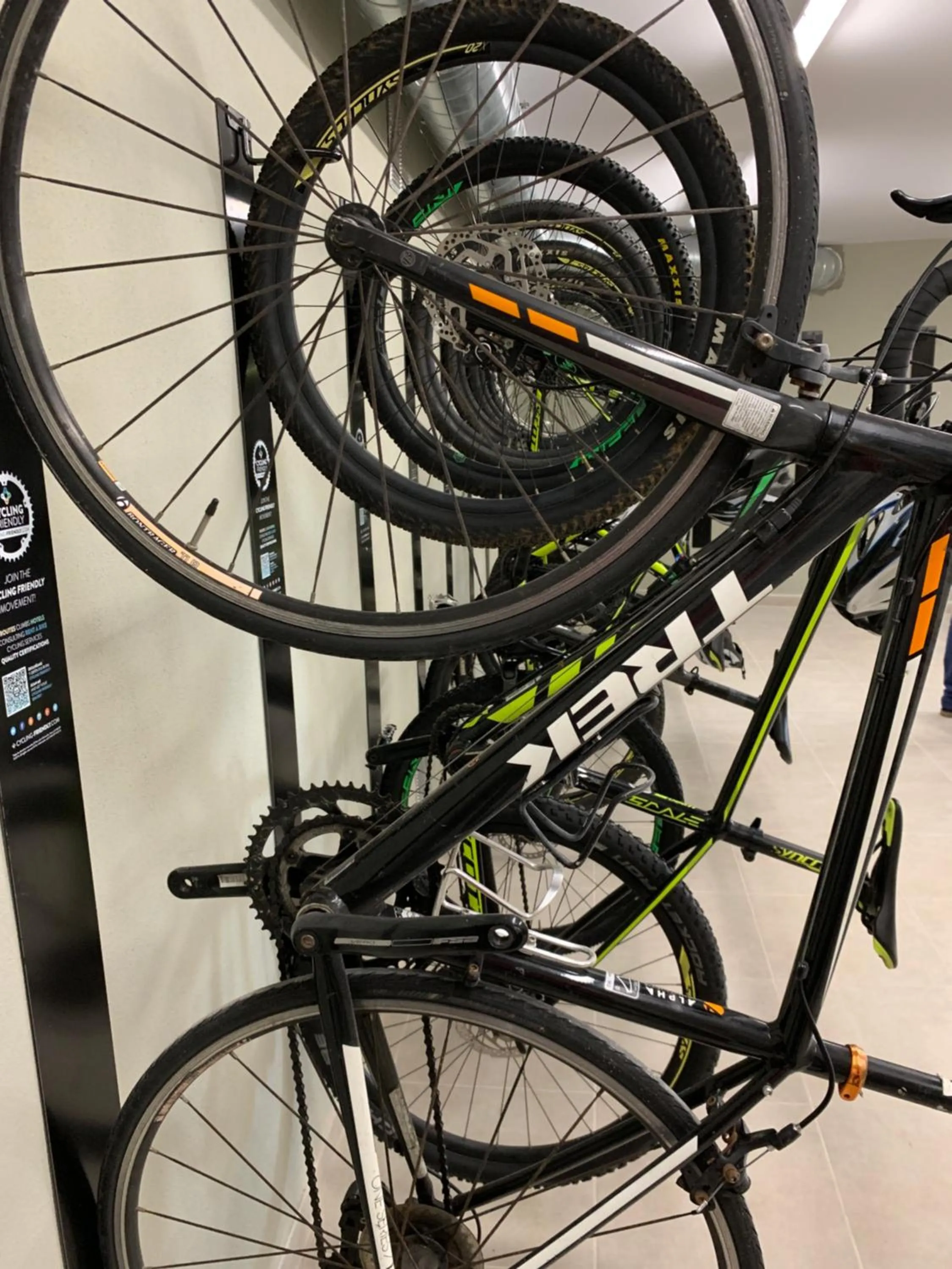 Activities in ARTIEM Audax - Adults Only