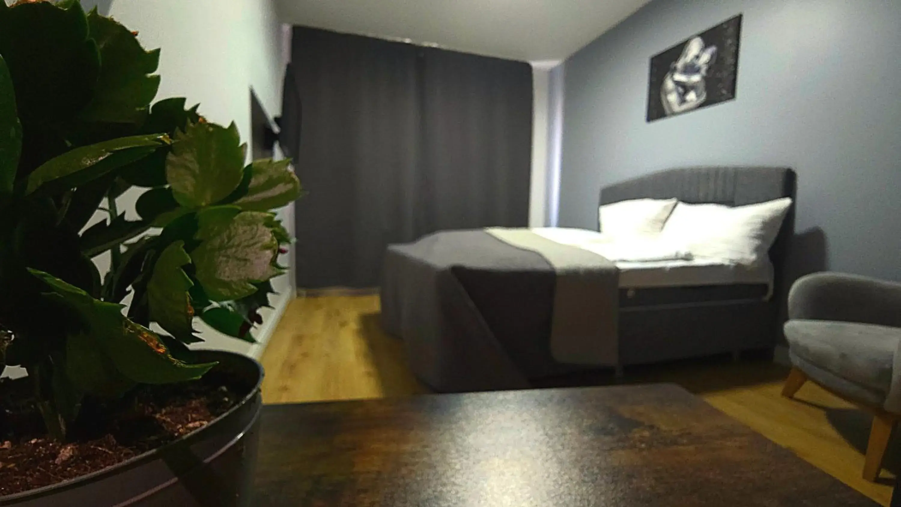 Bed in Hotel Delisa Bed in Hotel Delisa