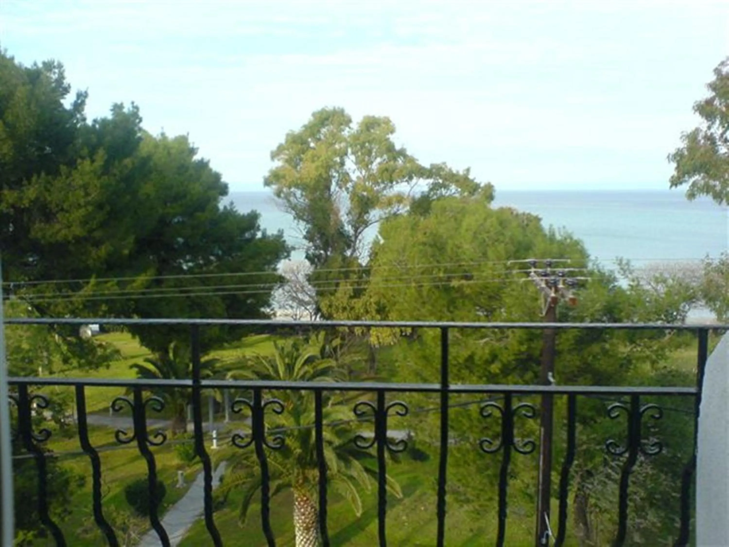 Balcony/Terrace in Plaza Hotel