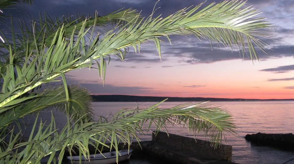 Natural landscape in Bed and Breakfast MIRAMAR