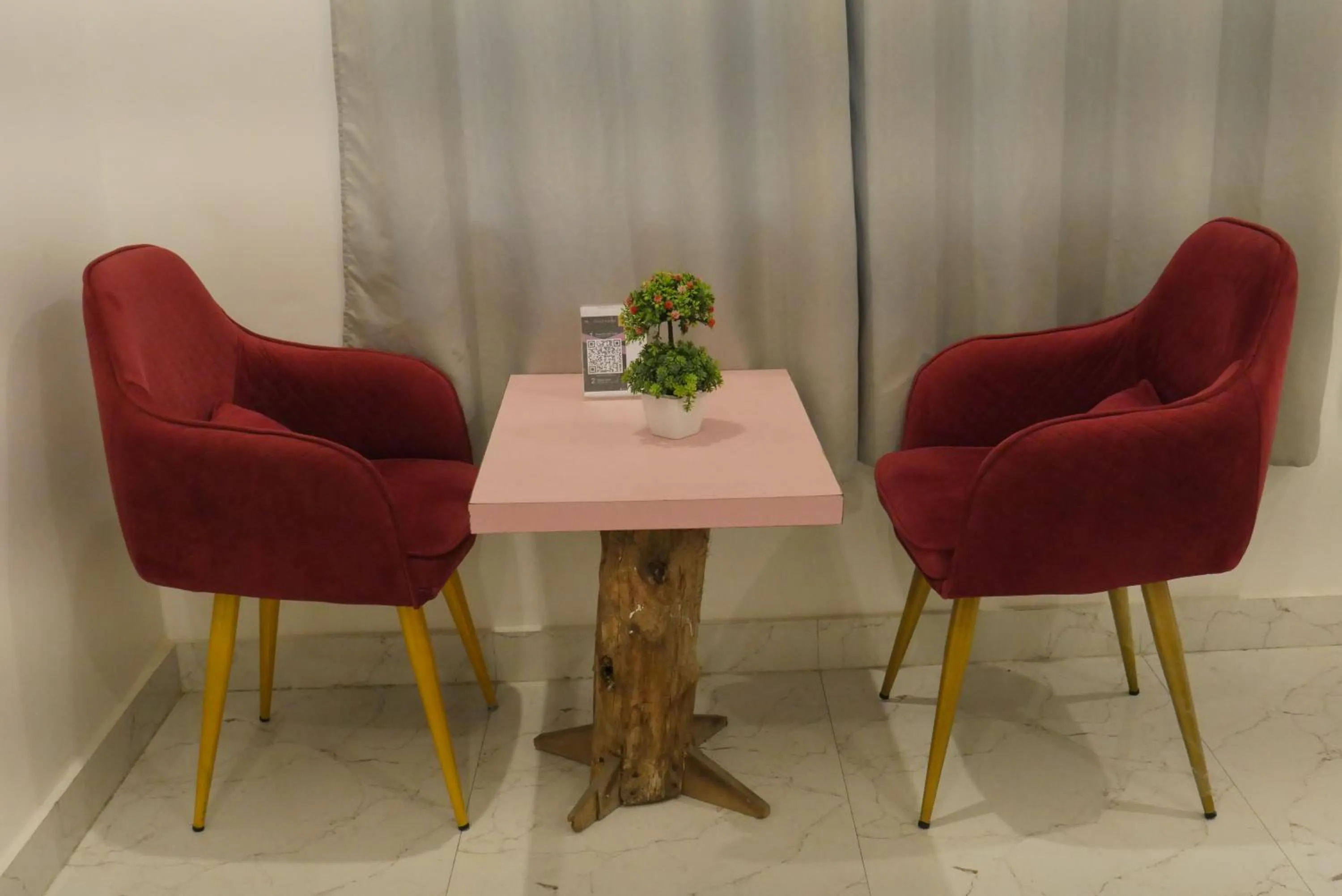 Seating area in Cloud Forest