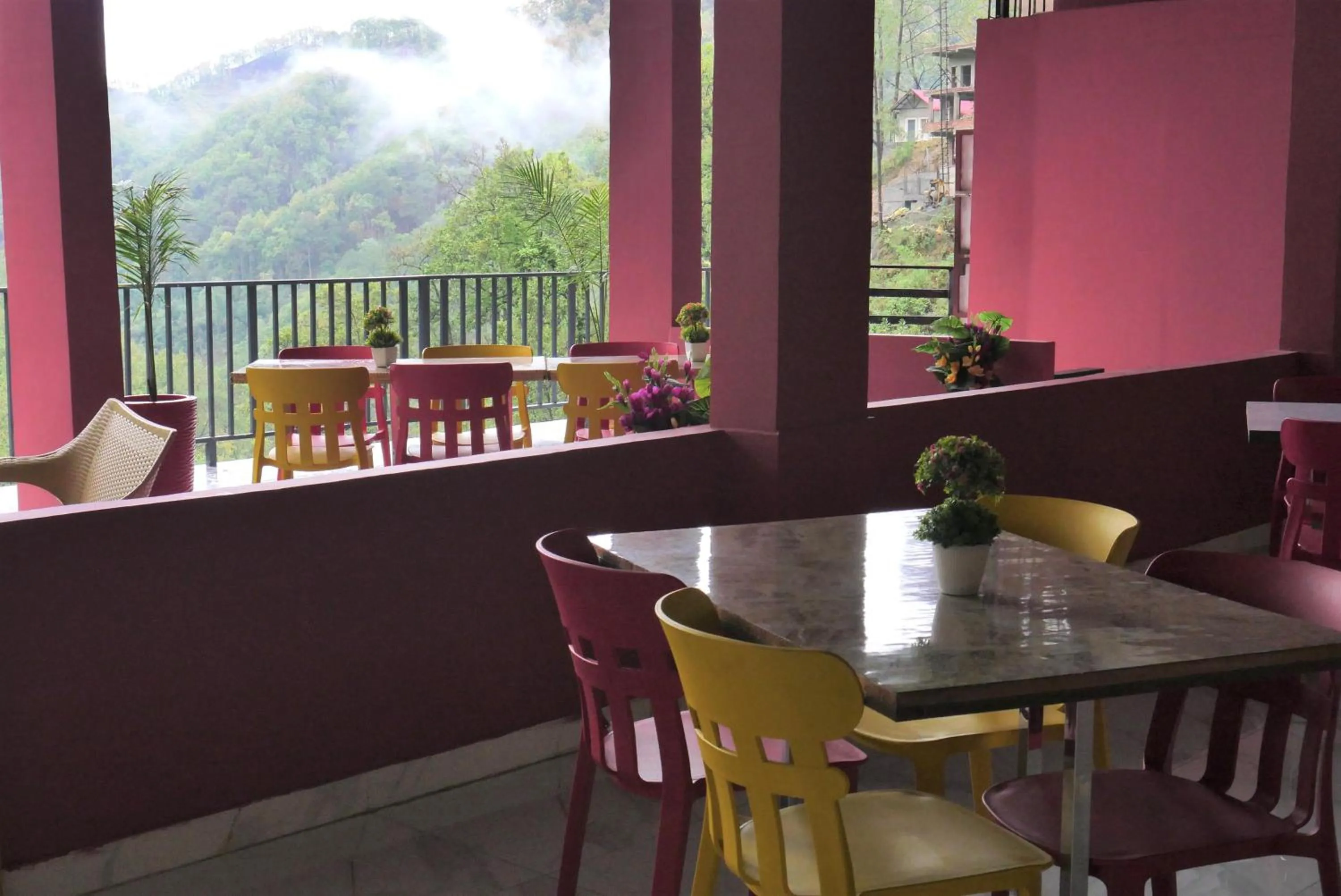Restaurant/places to eat in Cloud Forest