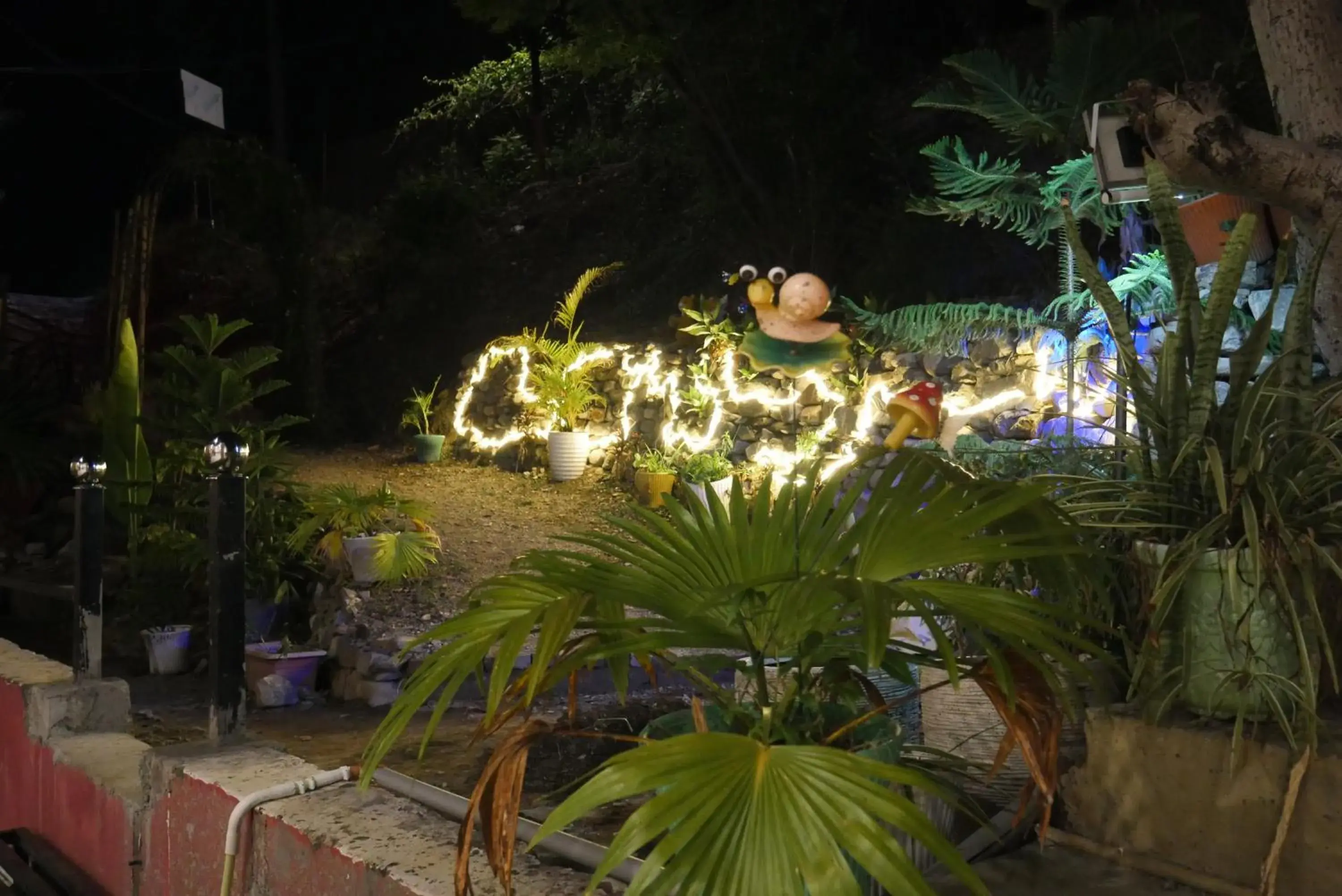 Restaurant/places to eat in Cloud Forest Restaurant/places to eat in Cloud Forest