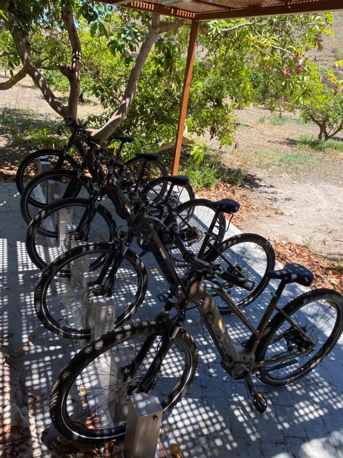 Cycling in Hotel Rural Las Longueras