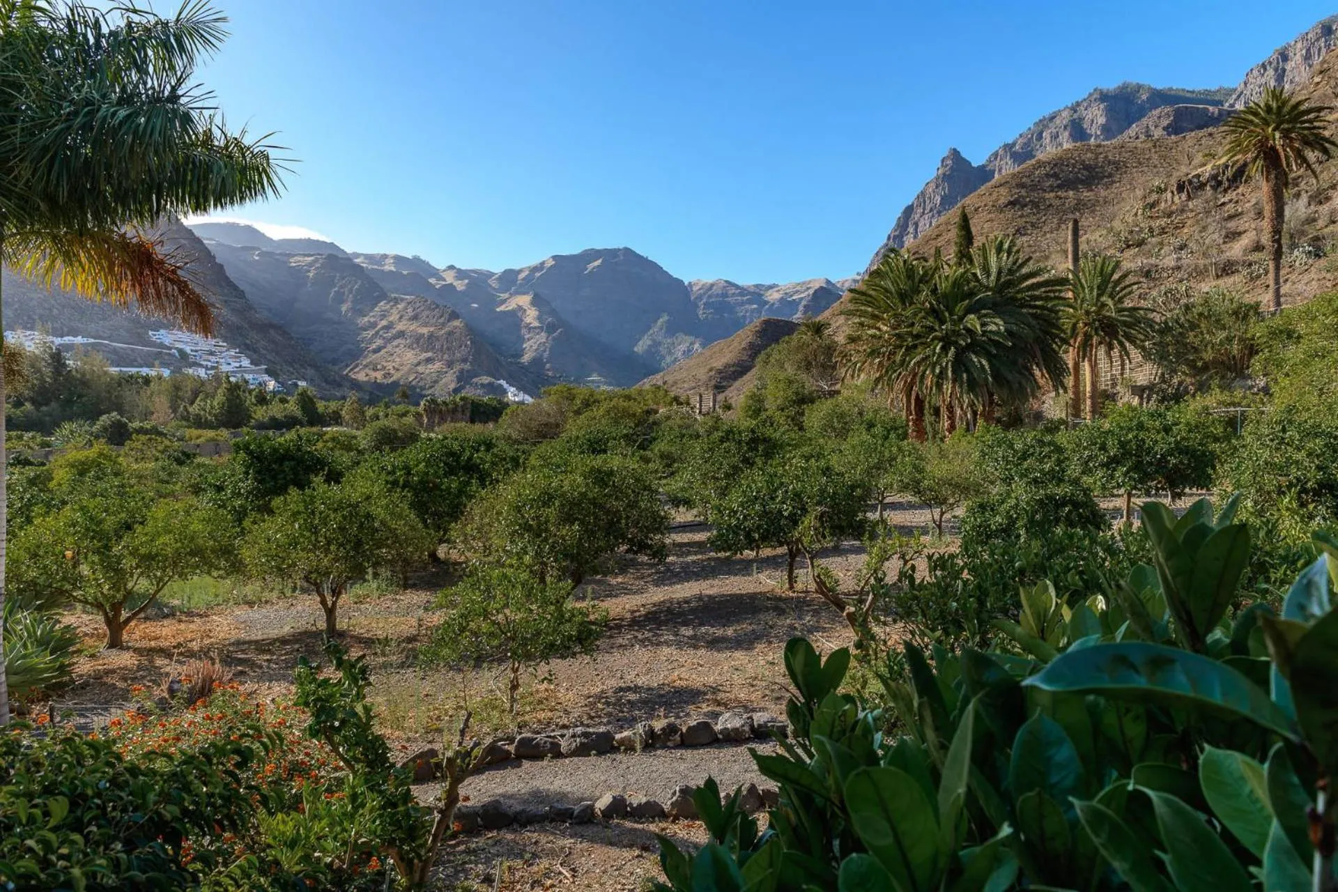 Natural landscape in Hotel Rural Las Longueras