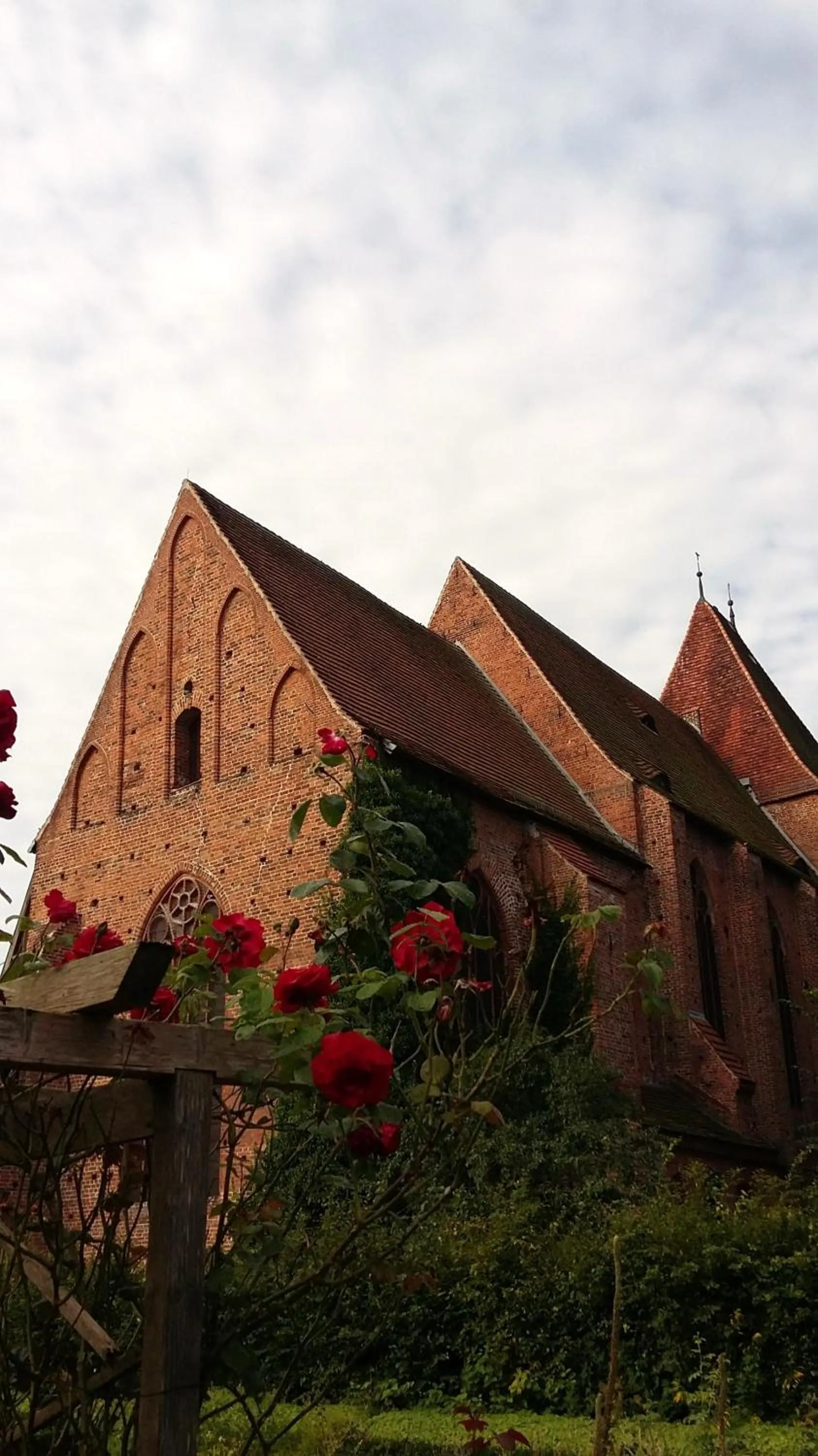 Garden in Gästehaus 22 am Klostergarten