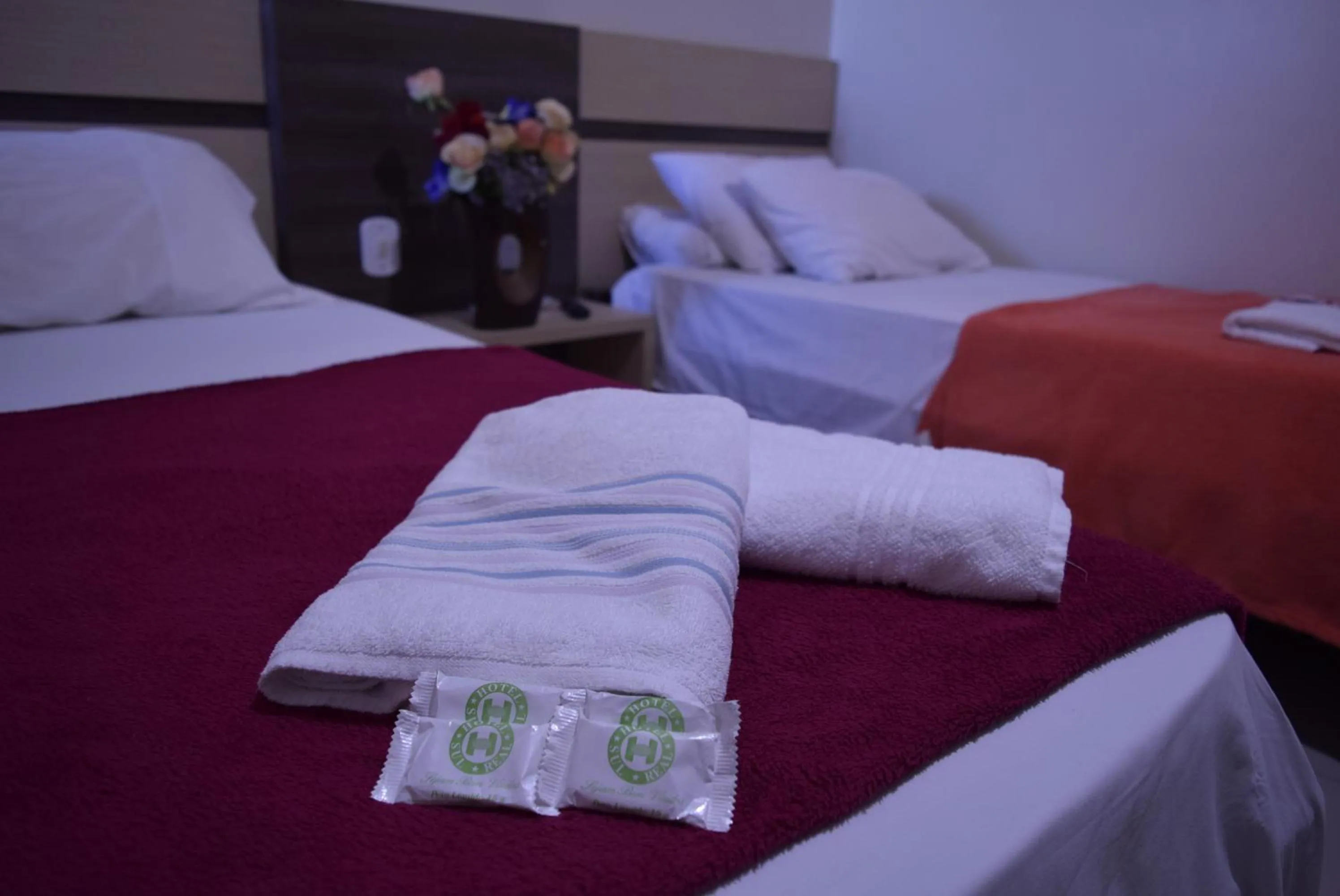 Triple Room - single occupancy in Hotel Sul Real