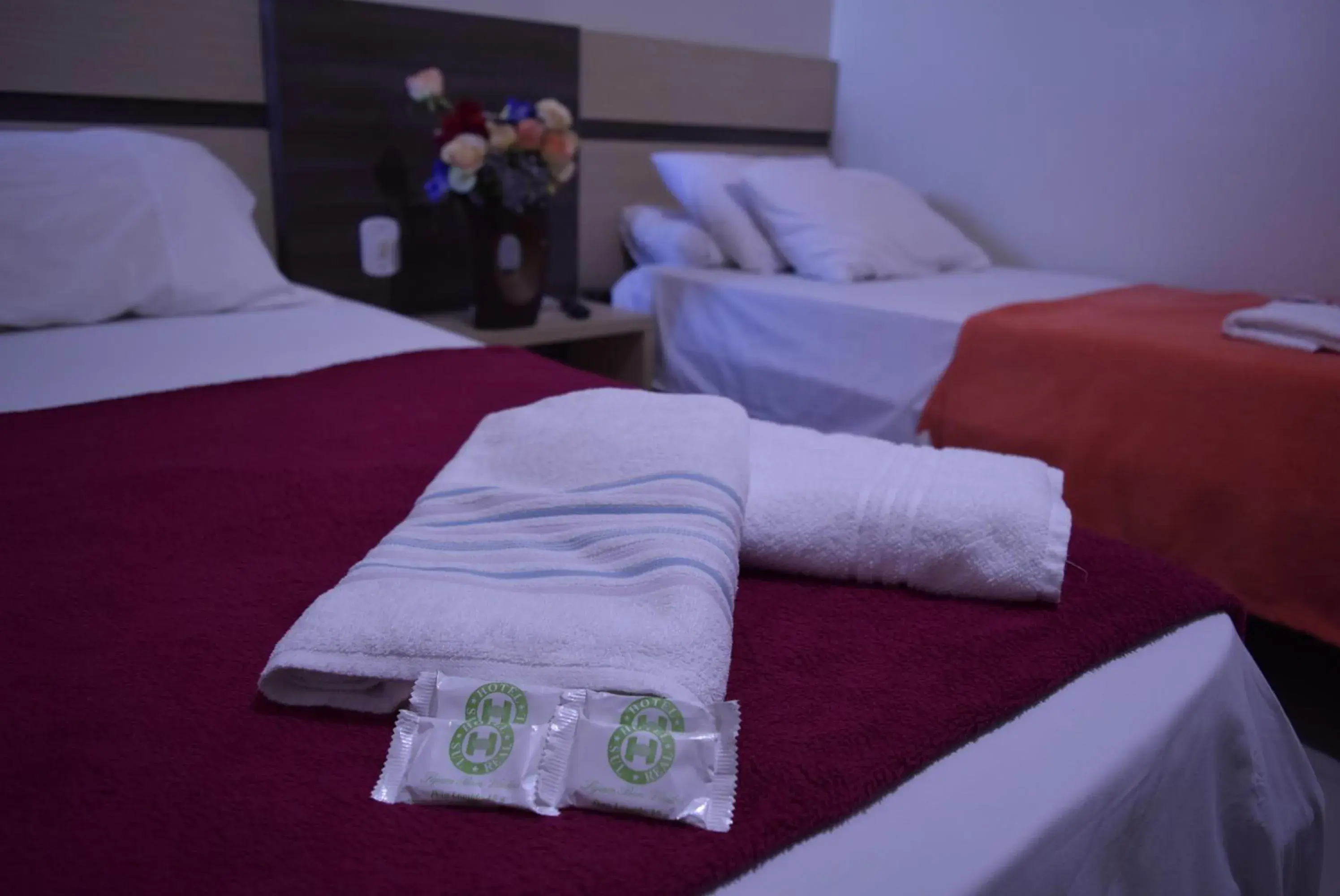 Triple Room - single occupancy in Hotel Sul Real Triple Room - single occupancy in Hotel Sul Real