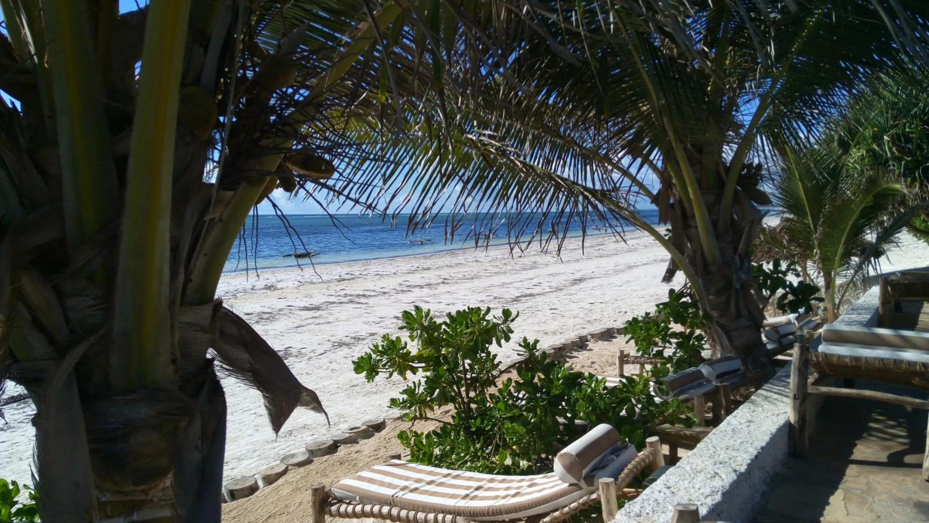 Beach in Zanzibar Bahari Villas