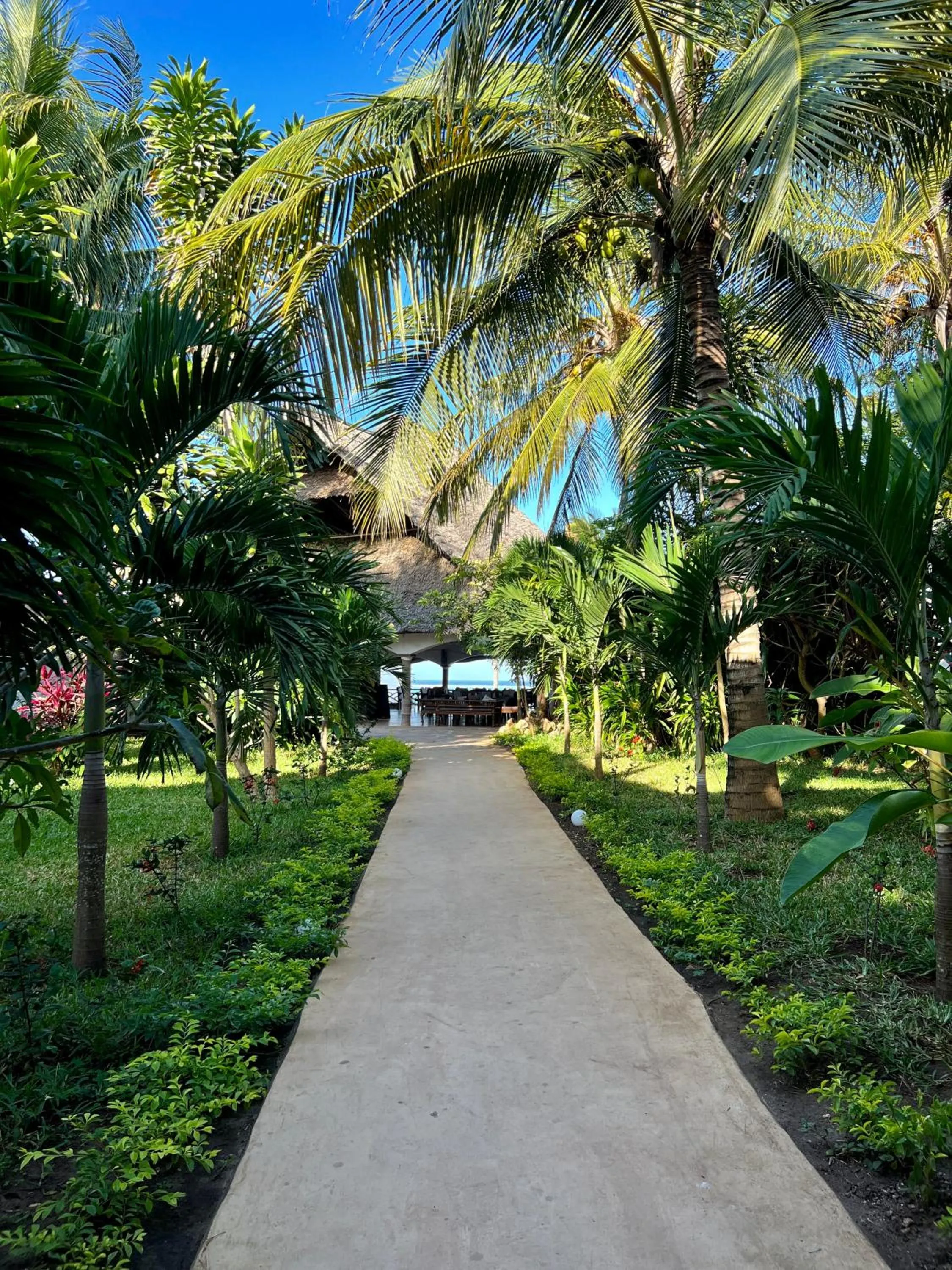 Natural landscape in Zanzibar Bahari Villas