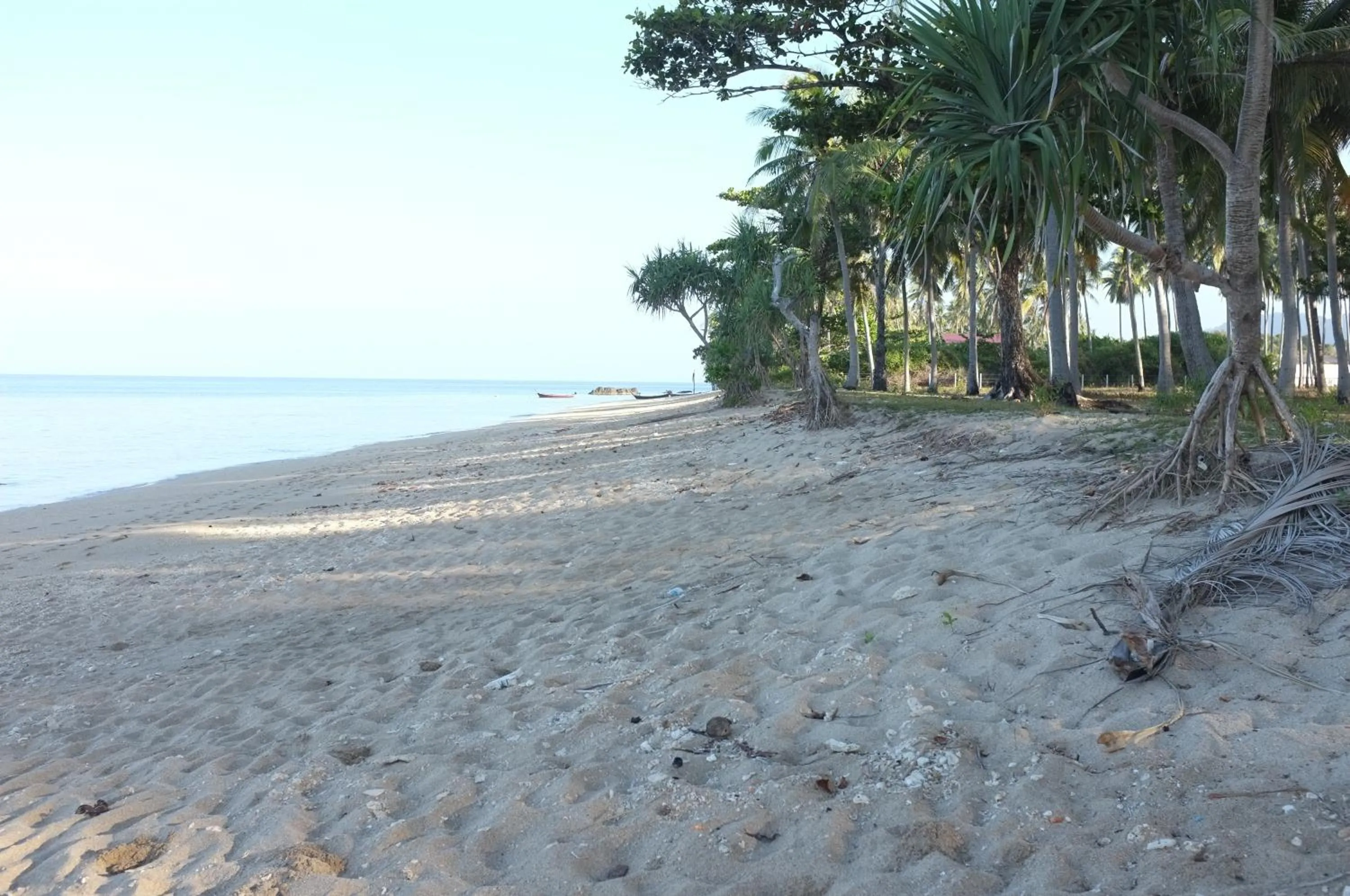 Beach in Zam Zam House