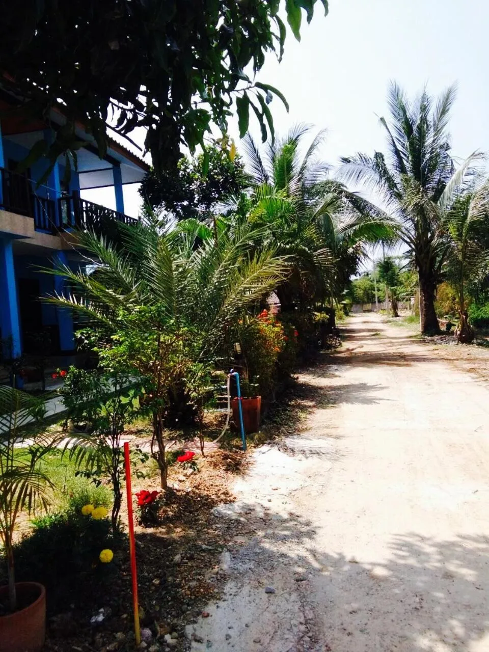 Facade/entrance in Zam Zam House
