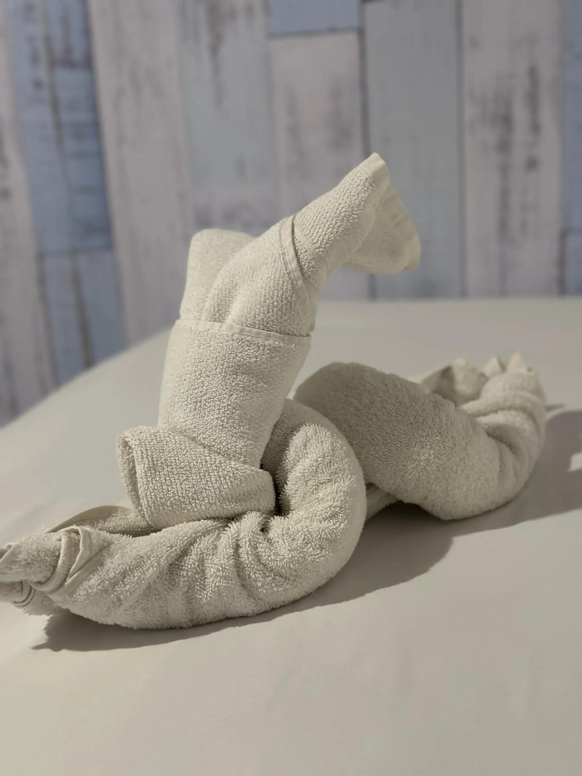 towels in Pousada Isabel Araújo