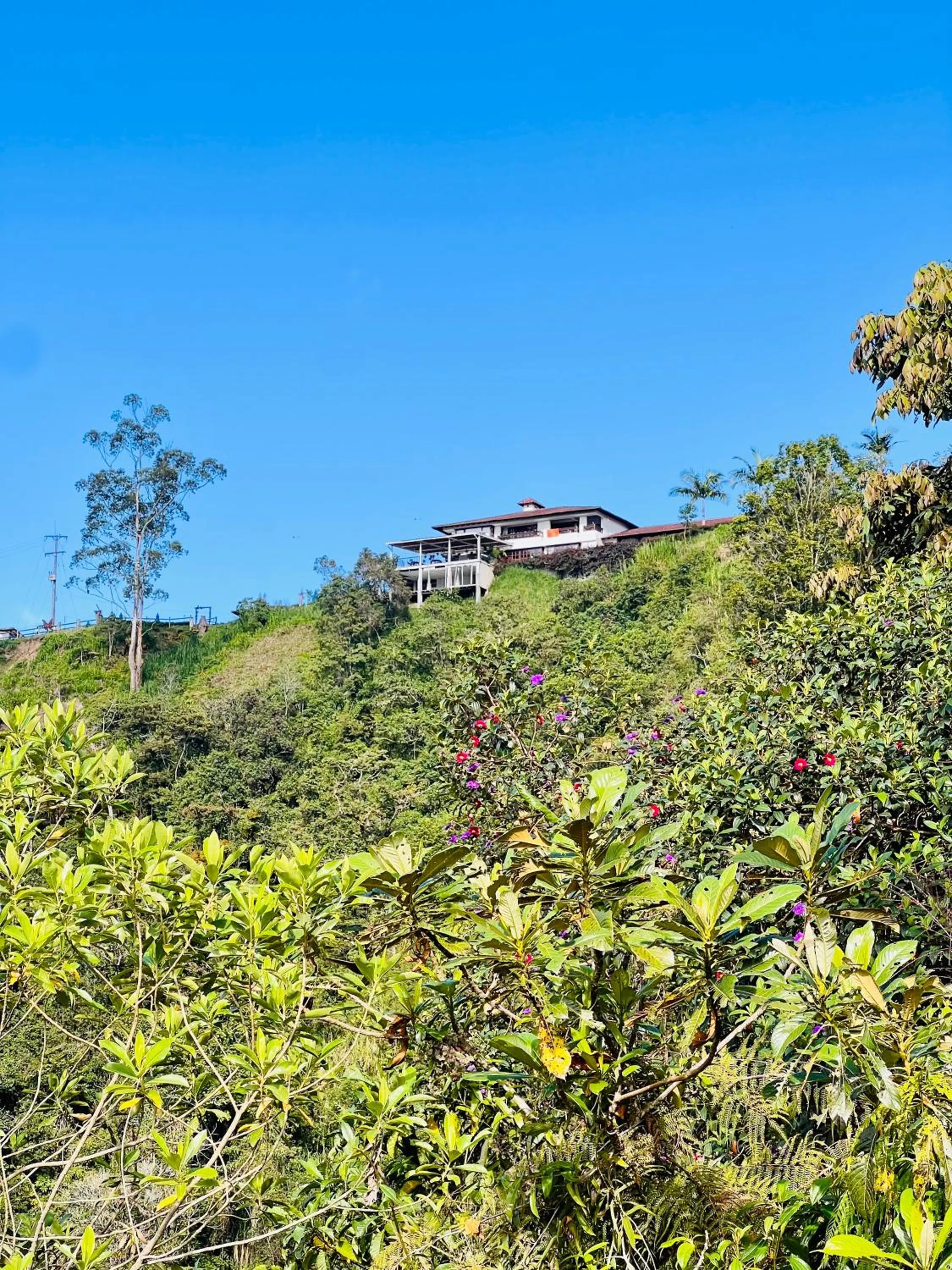 Hotel Reserva Monarca