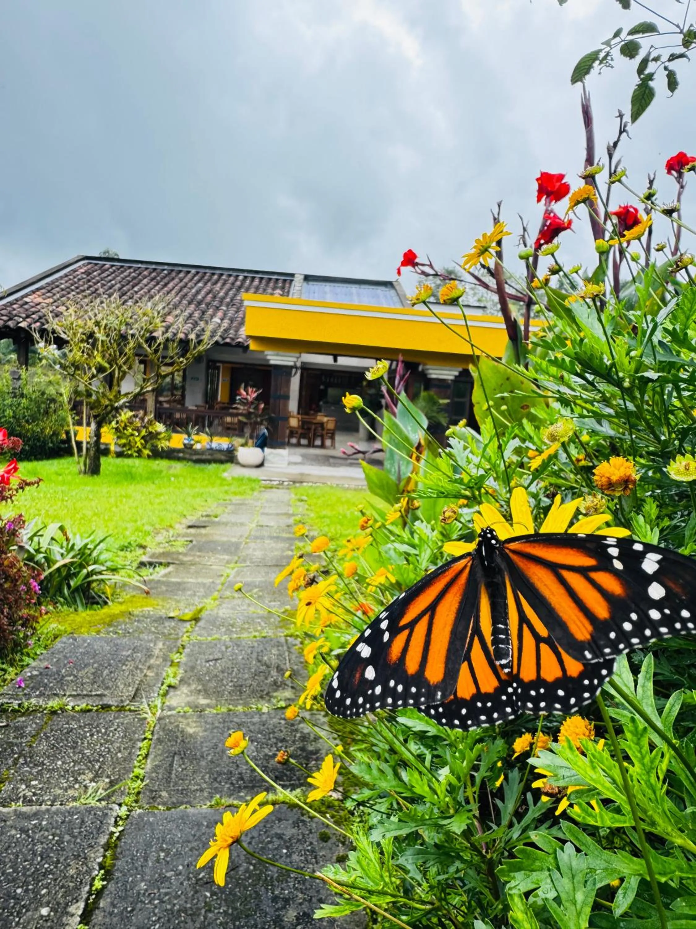 Hotel Reserva Monarca