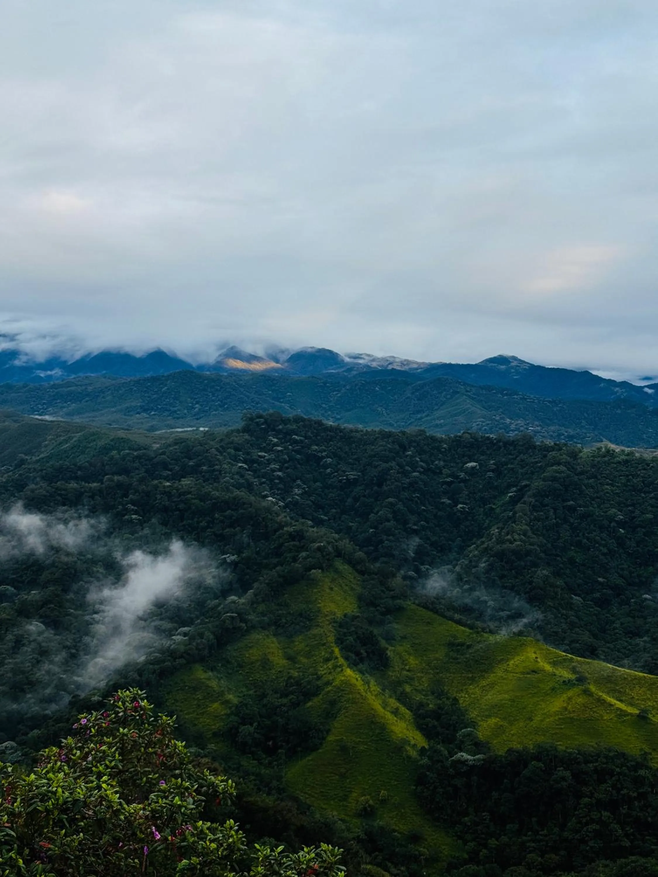 Hotel Reserva Monarca