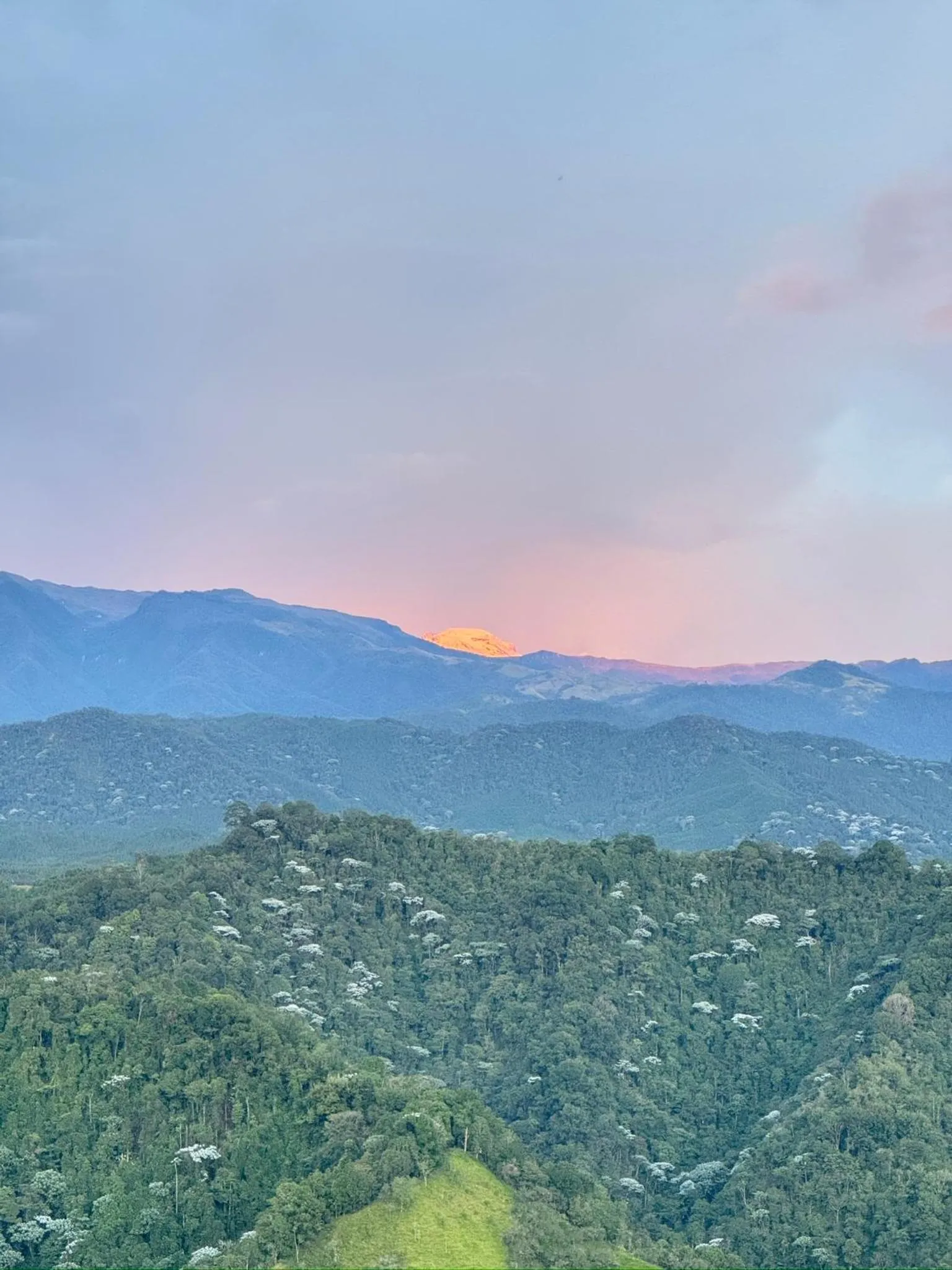 Hotel Reserva Monarca