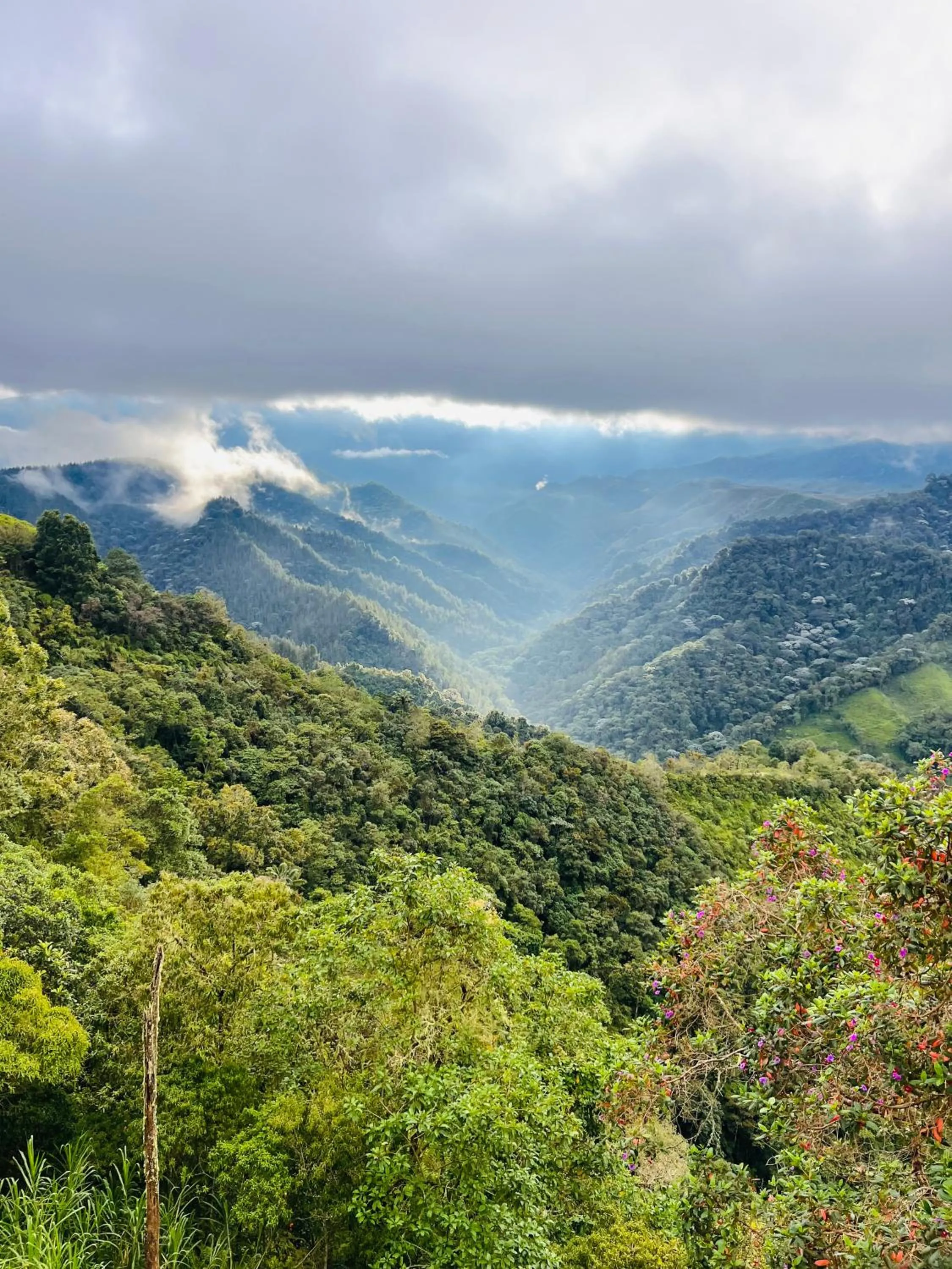 Hotel Reserva Monarca