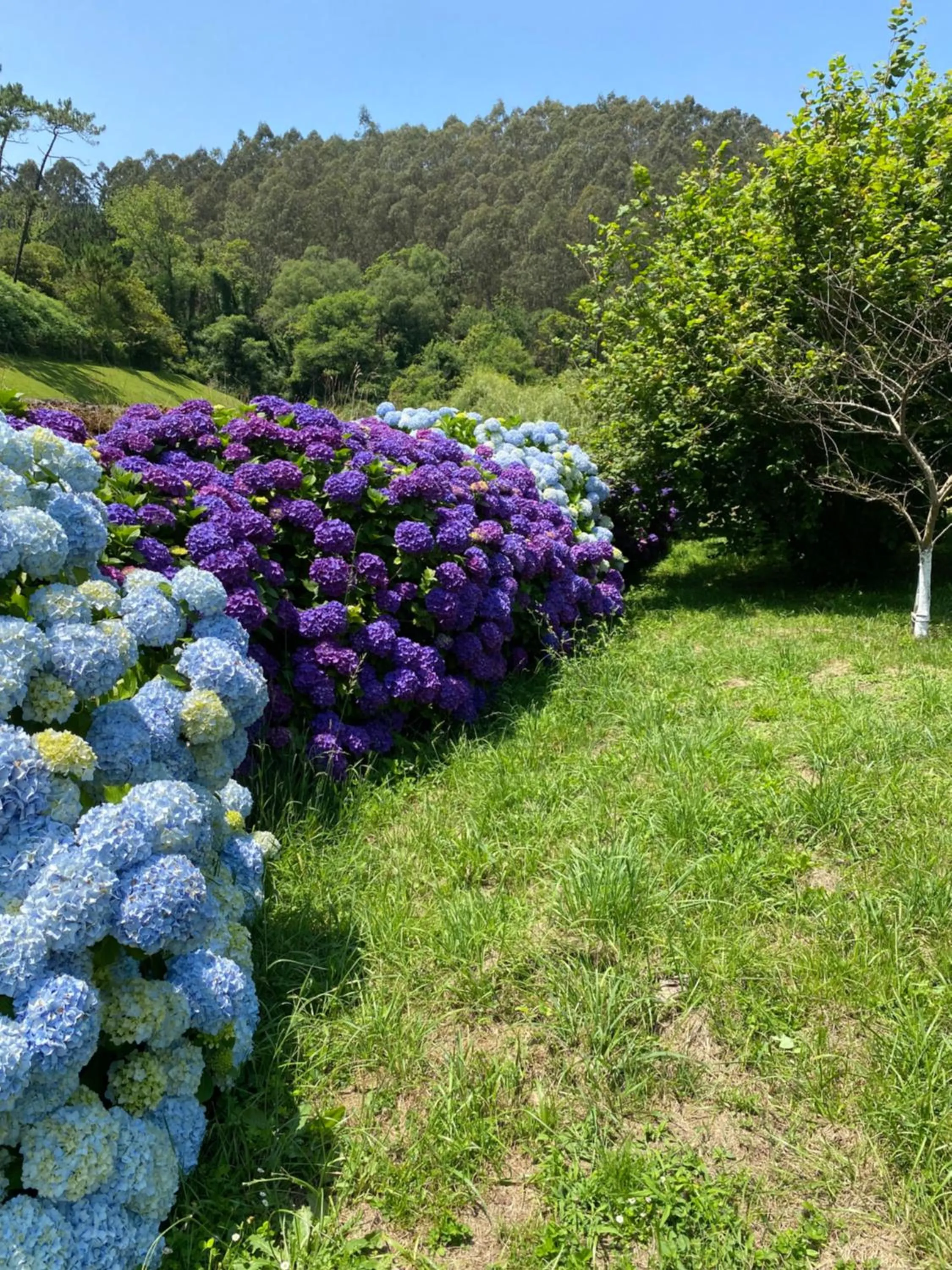 Garden in Finca Portizuelo